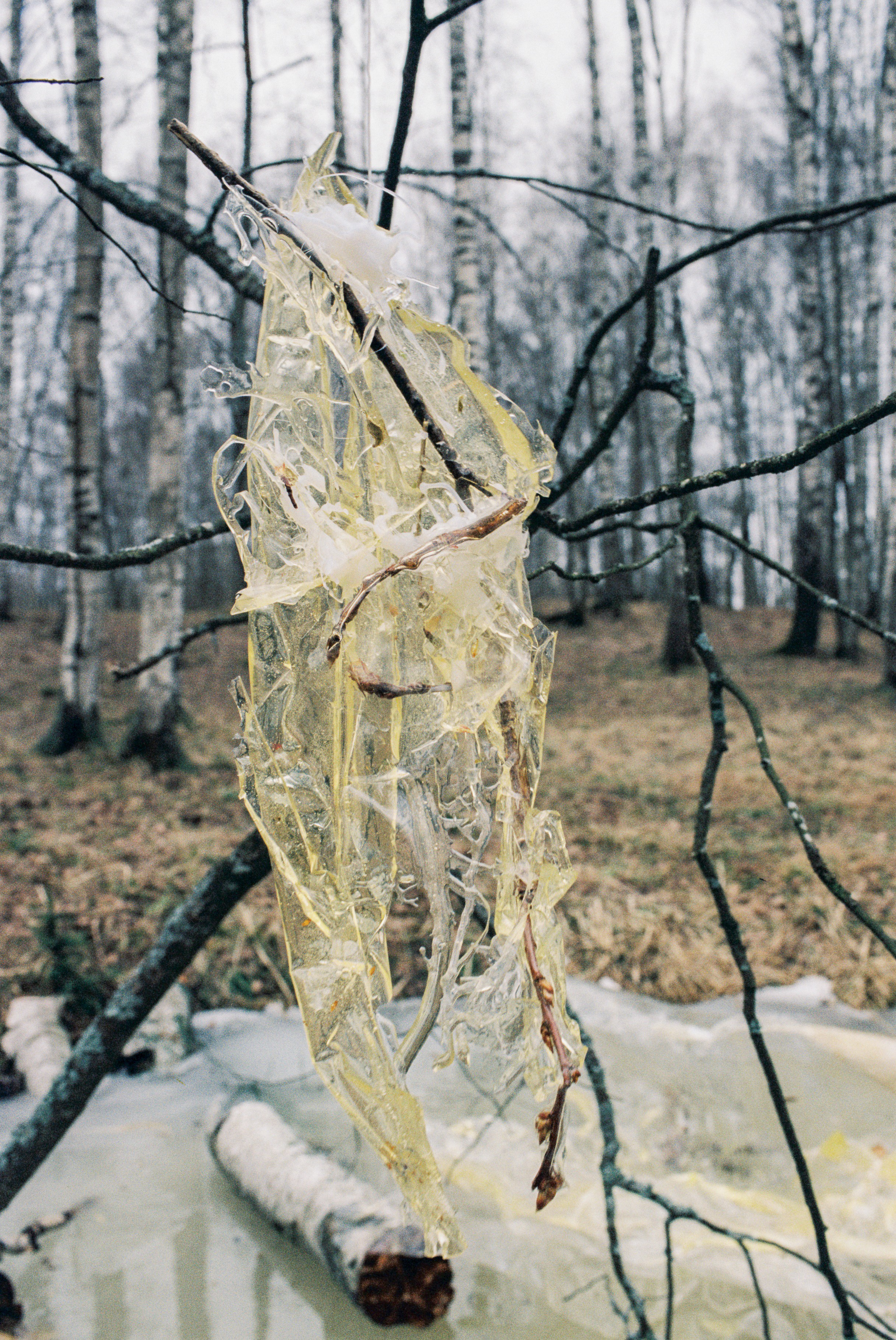 Мария Филимонова. Polinanazar//Полина Назарова, фотохудожник