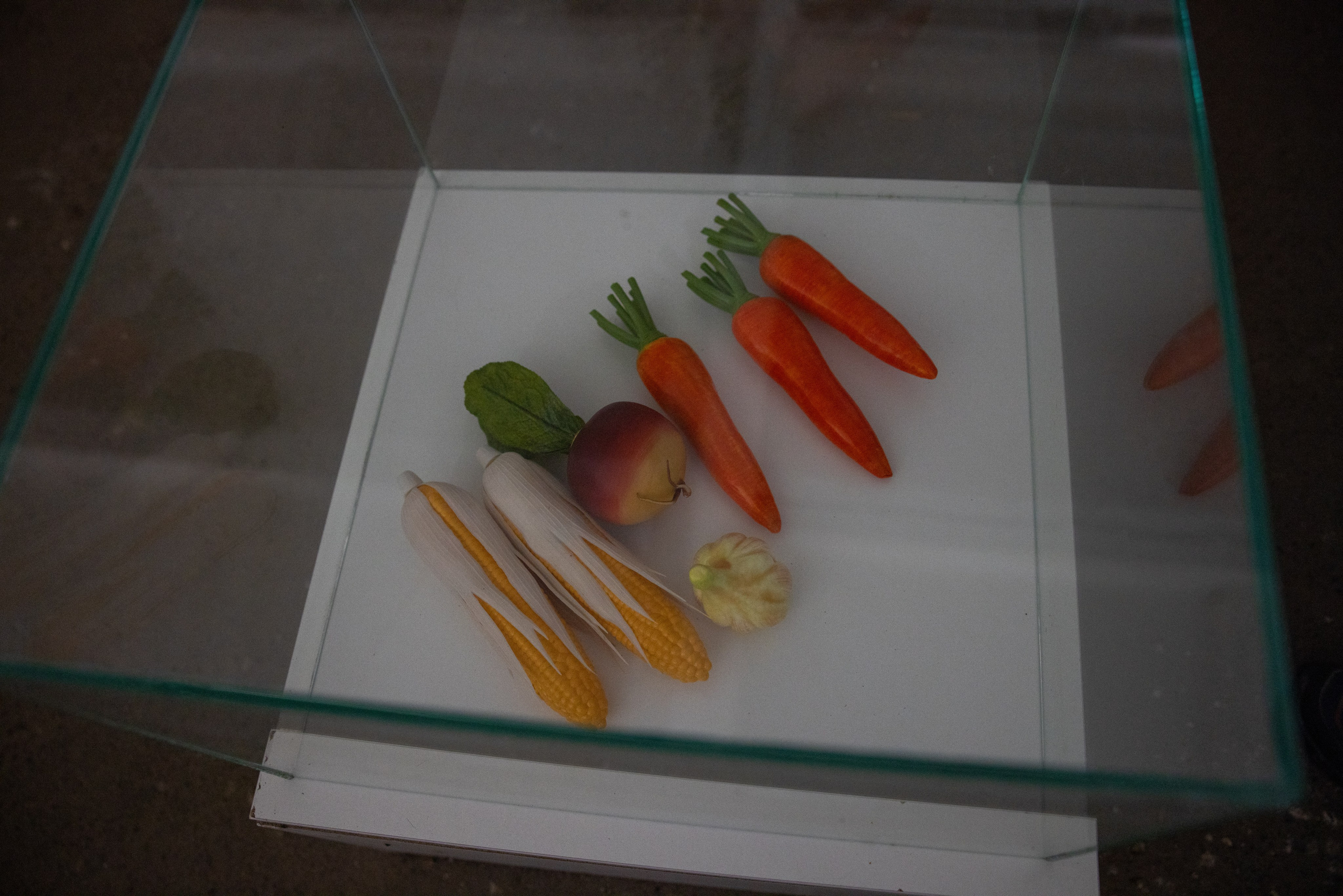 Поездка на поле Кулеково. Фотограф в Туле Крупский АнДРей. Фотостудия «КАДР71» в Туле