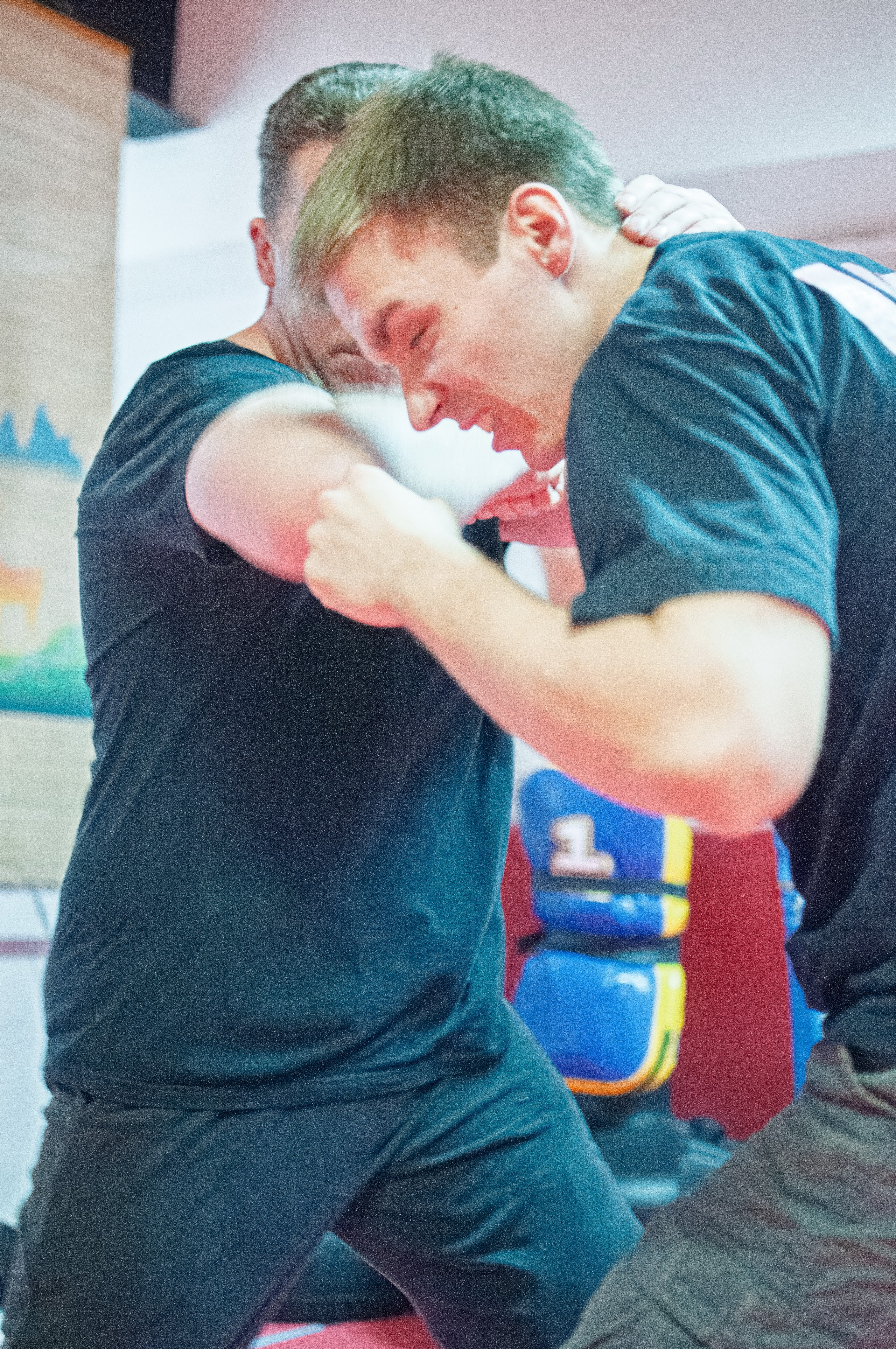 Семинар Валерия Крючкова по системе активной обороны «Стрела». Спортивная фотосъемка в Москве и Московской области — Спорт в Москве