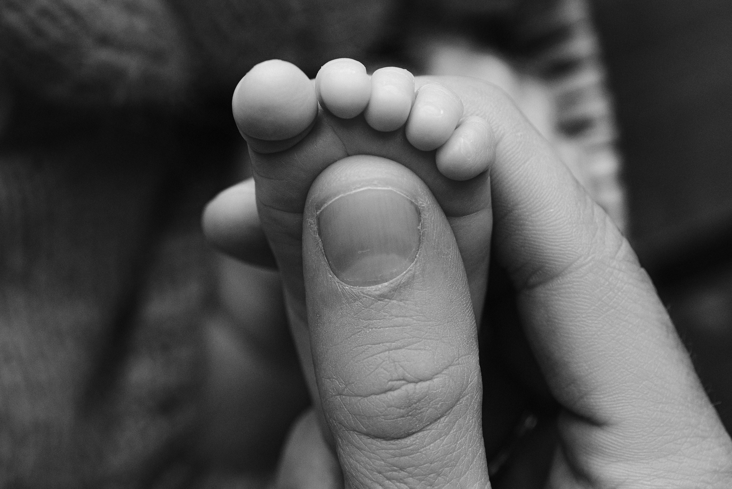 Фотограф Новорожденных во Владивостоке Ольга Галаницкая