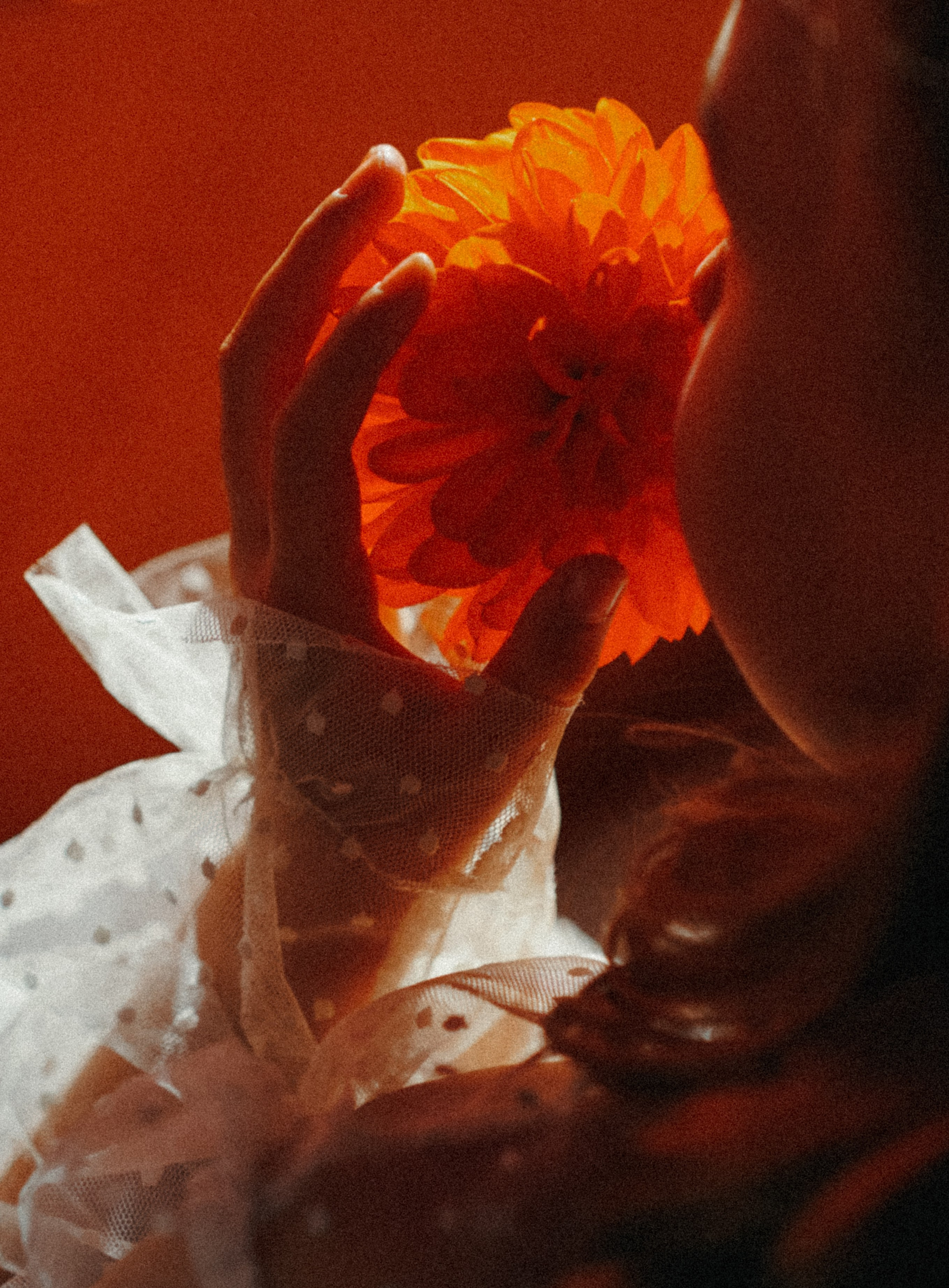 Новый мир. Фотограф Москва Никита Воробьев