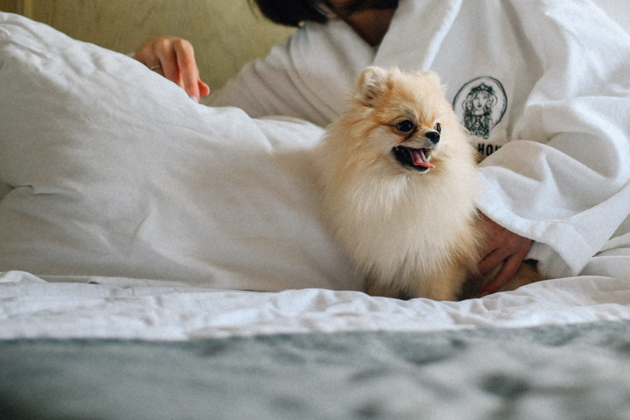 ARBAT HOUSE HOTEL. Фотограф Лола Волна, город Москва
