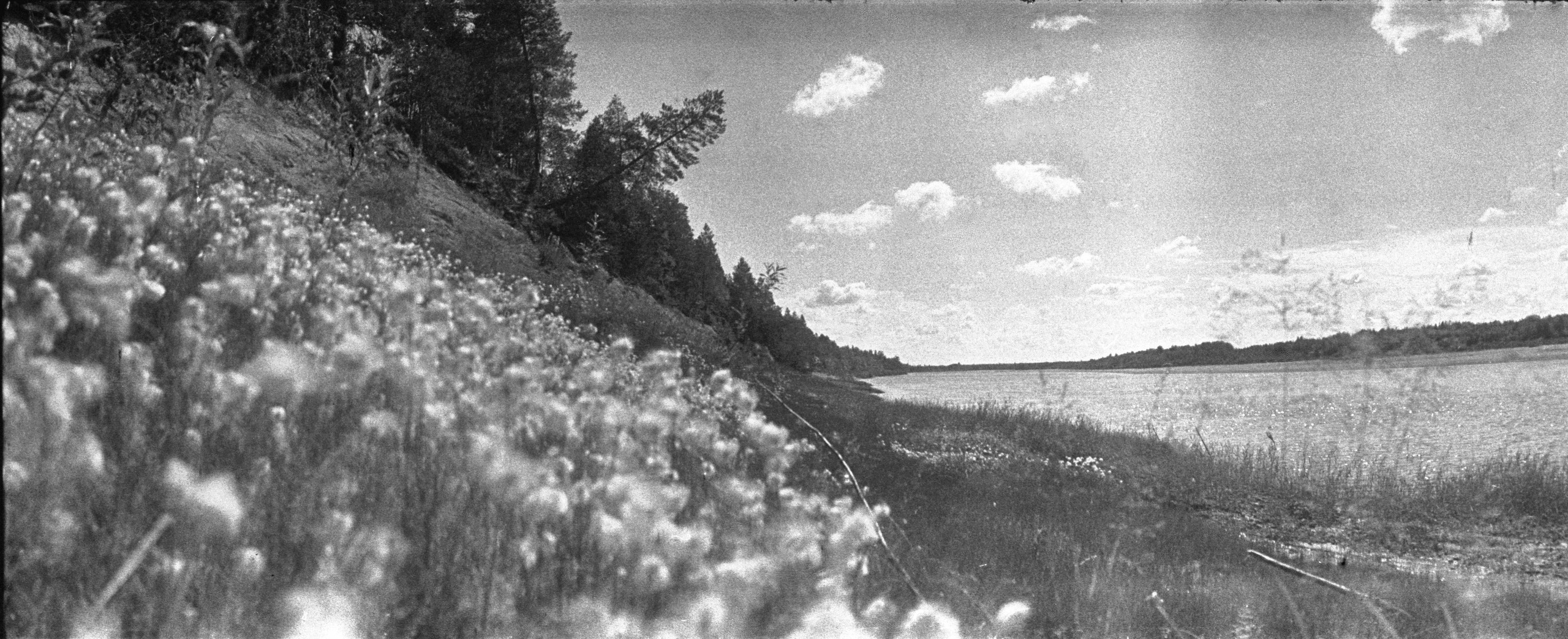 Было лето. Часть 3. ФОТОГРАФ ЛИЛИЯ БИЧУРИНА