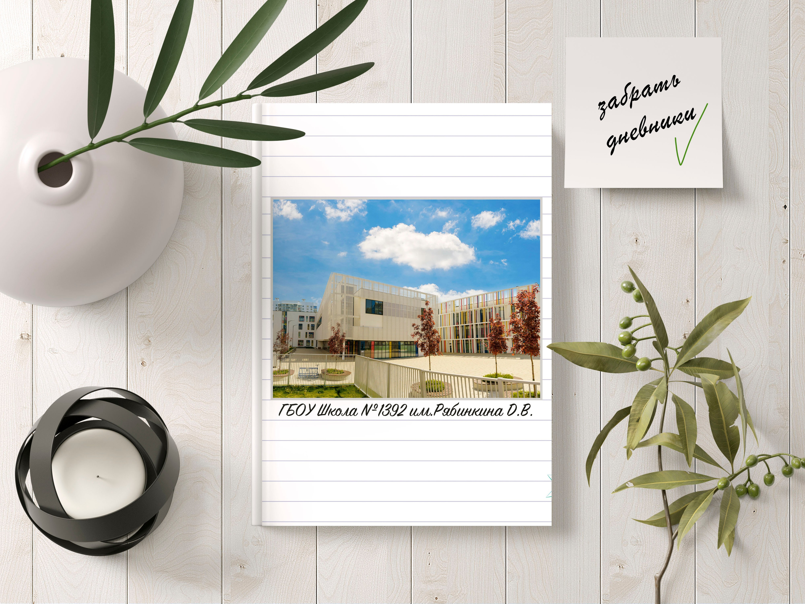 Дневник школьника. Школьный фотограф Троицк