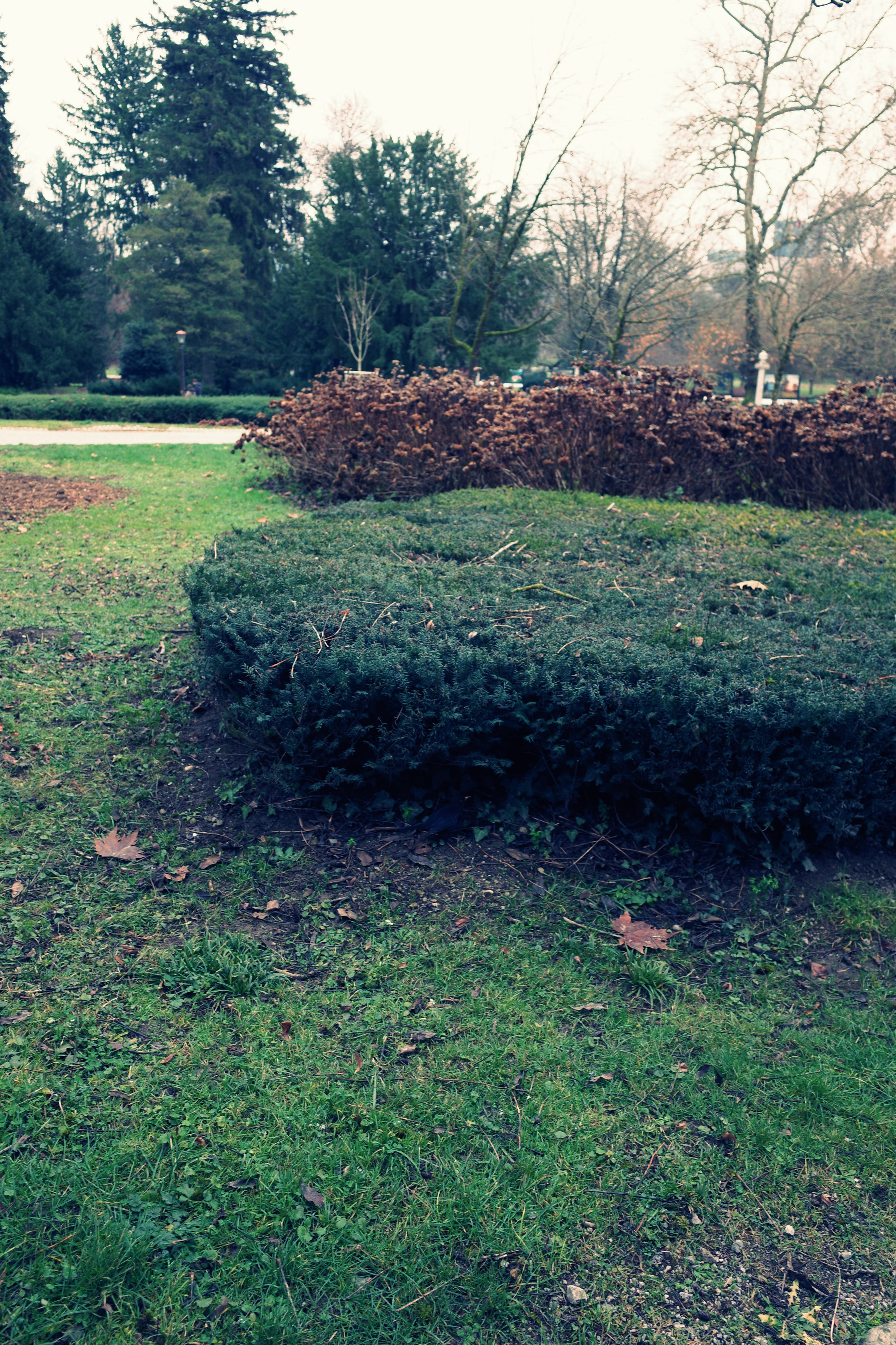 Словения. Фотографирую для себя, своей семьи и друзей!