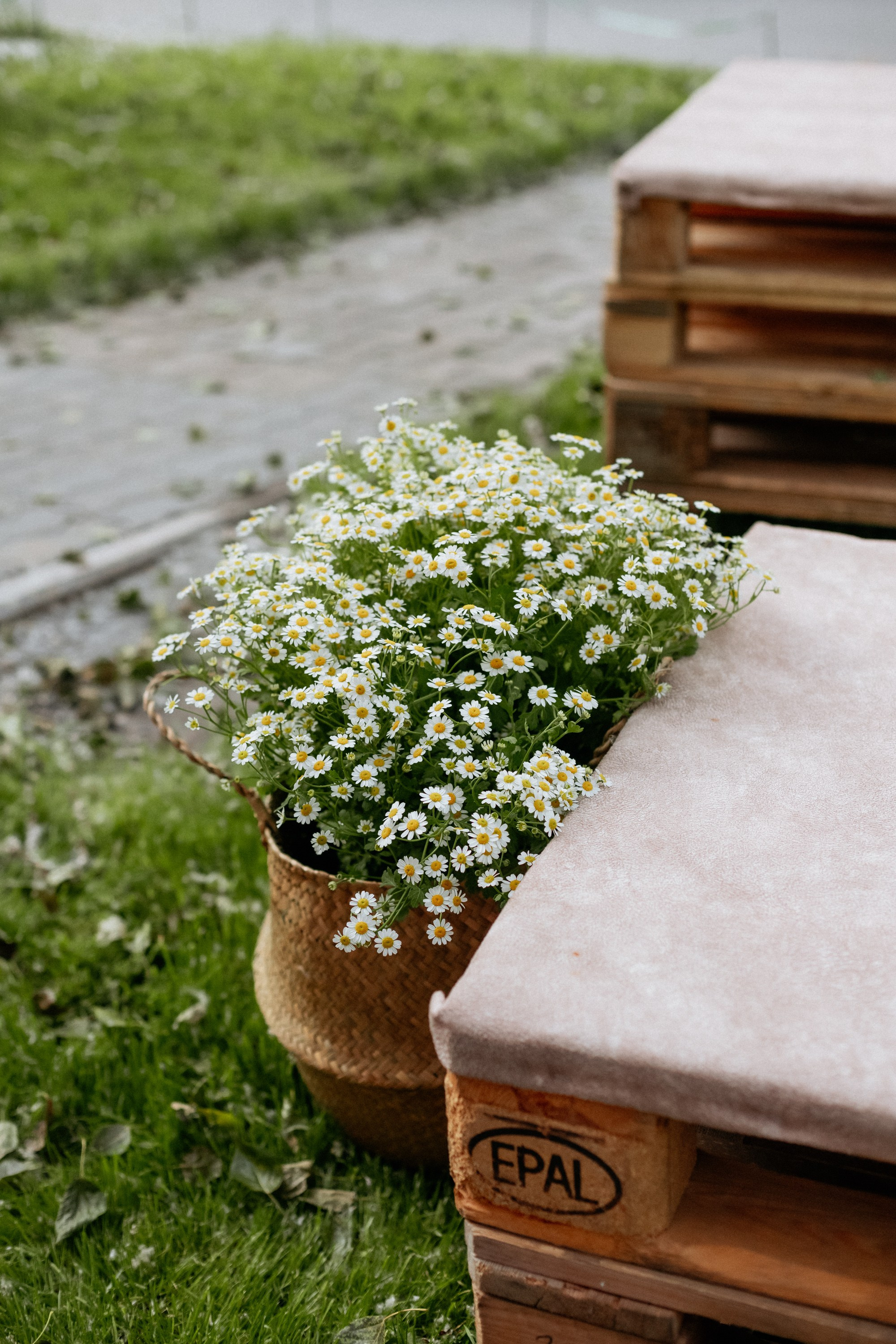 PROBIRKA21 — КИНОПОКАЗ. СВОИ. ФОТООТЧЕТЫ-СОБЫТИЯ-МЕСТА