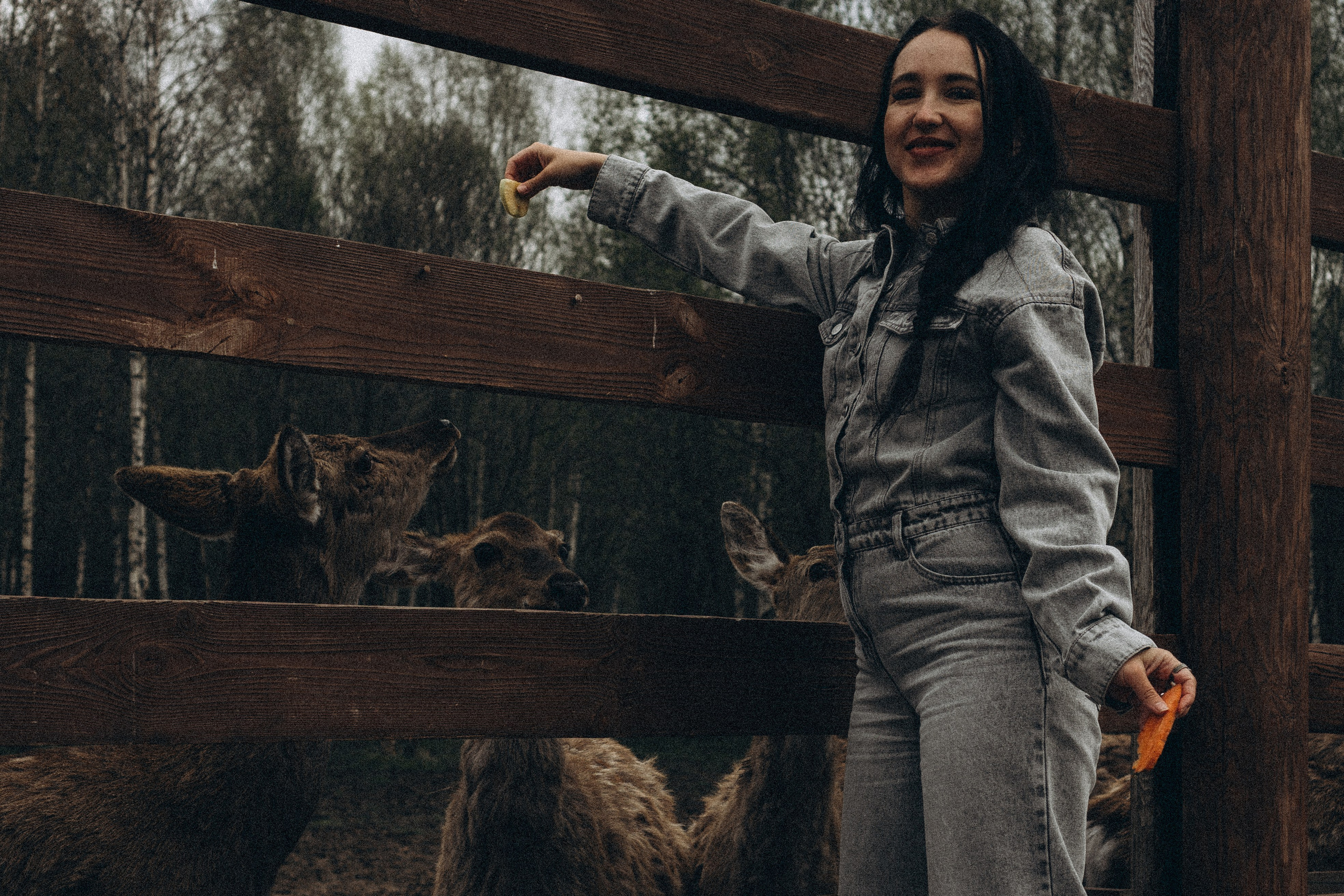 ОЛЕНЬЯ ФЕРМА В ТВЕРИ. Профессиональный фотограф, Санкт-Петербург — Виктория Богомолова