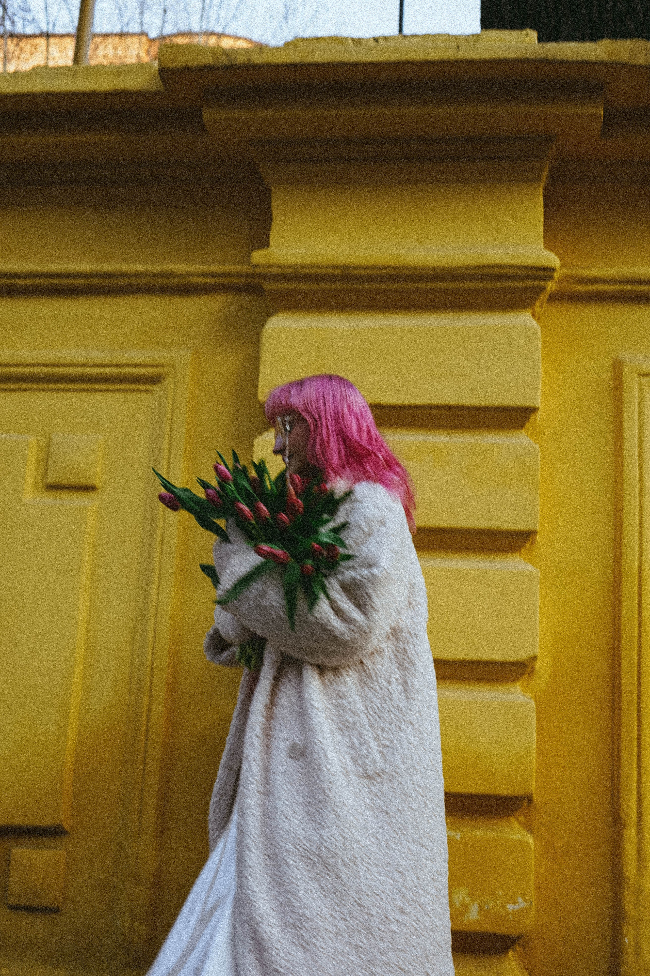 Тюльпаны. Профессиональный фотограф, Санкт-Петербург — Виктория Богомолова