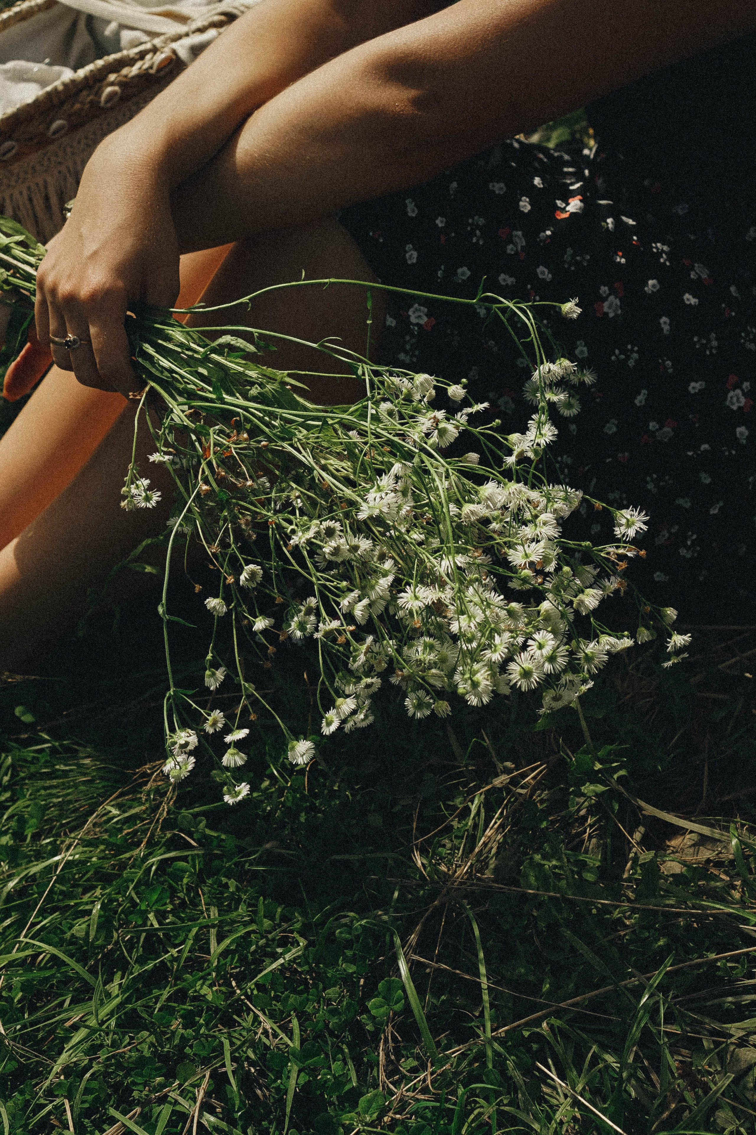 Прогулка на природе. Профессиональный фотограф, Санкт-Петербург — Виктория Богомолова