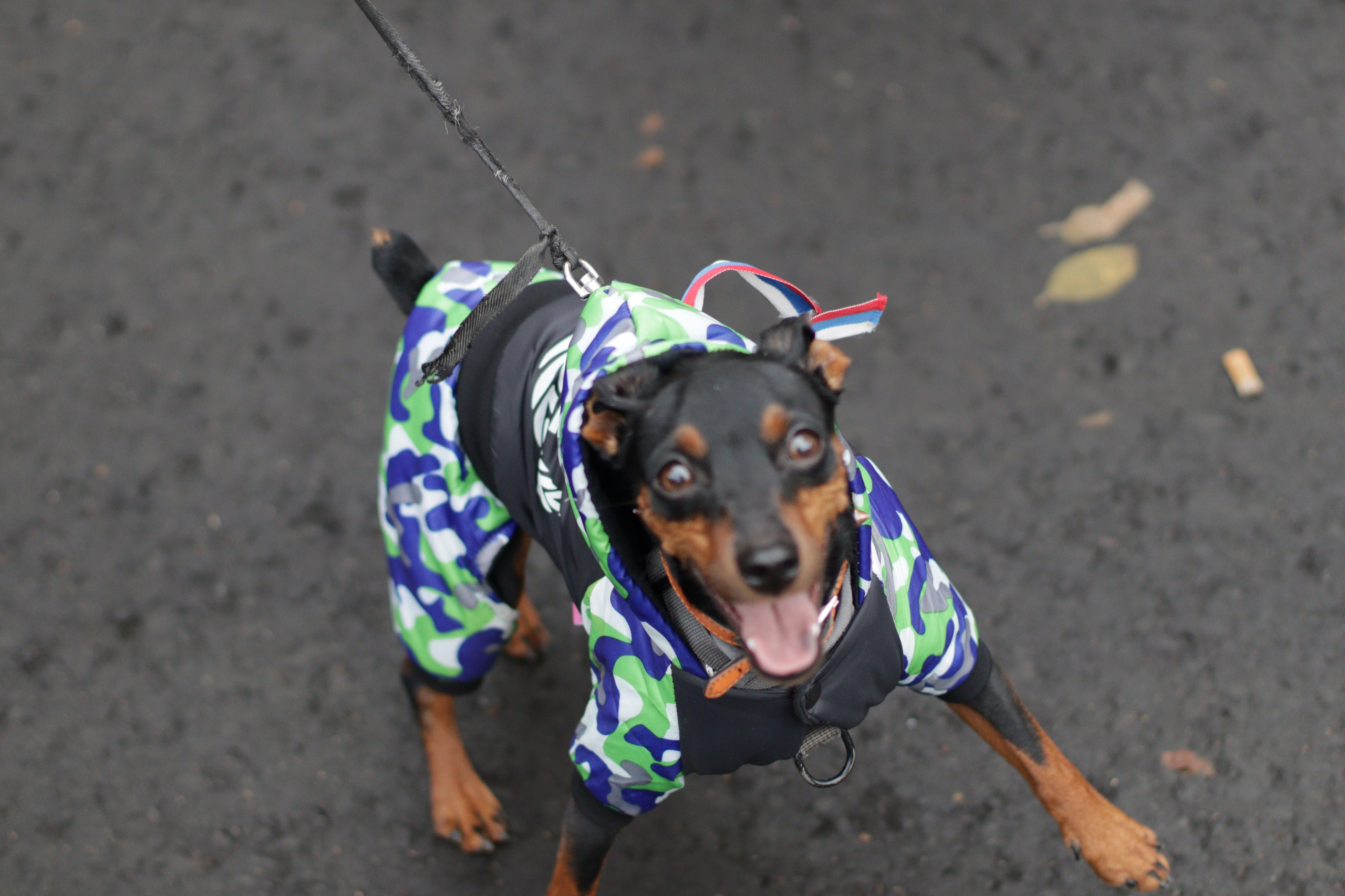 Мотоклуб «НОЧНЫЕ ВОЛКИ» Закрытие сезона 2025. Jane Kudryavtseva | MODEL PHOTO & PORTRAIT