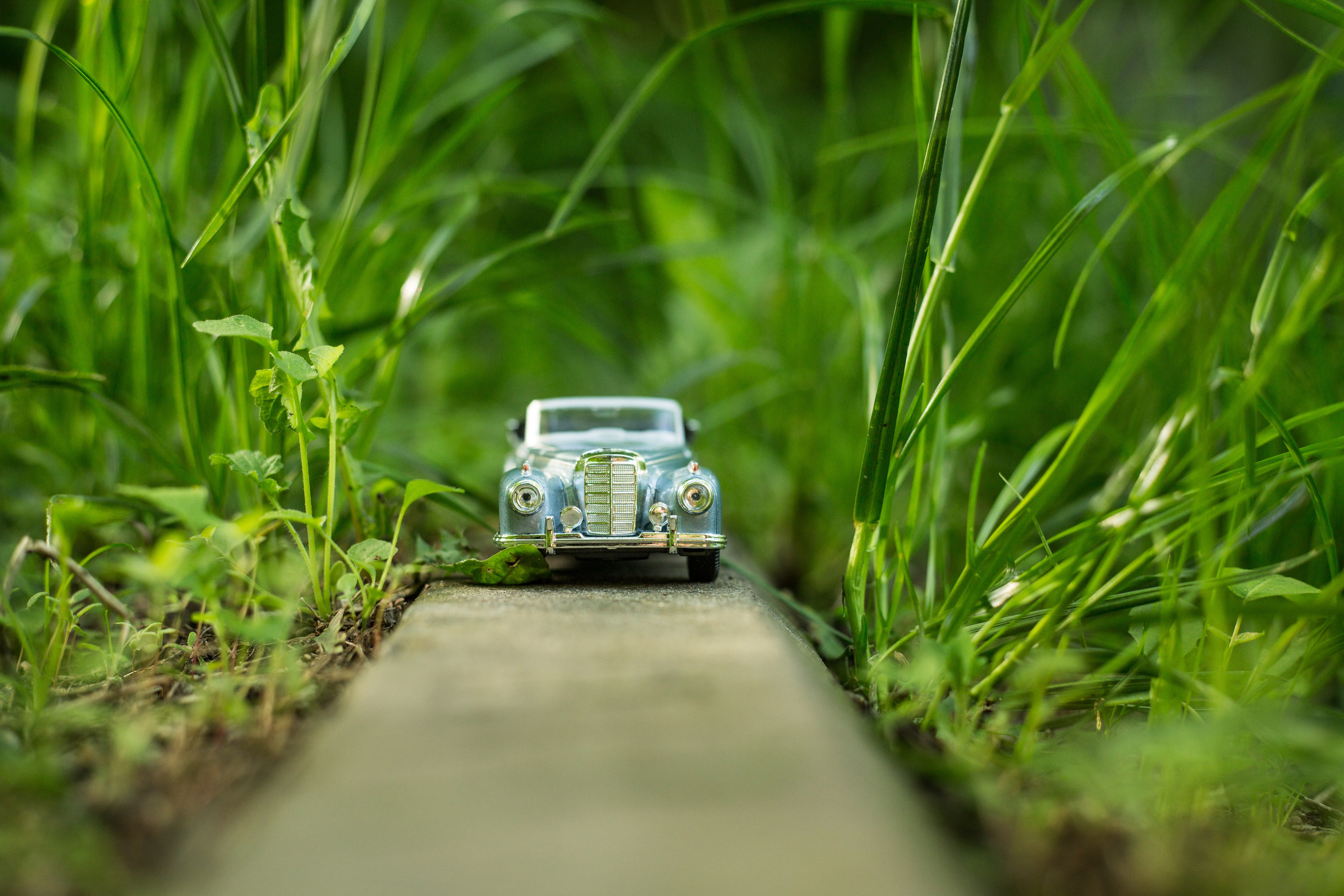 Машины. Фотограф Олеся Кавлакан