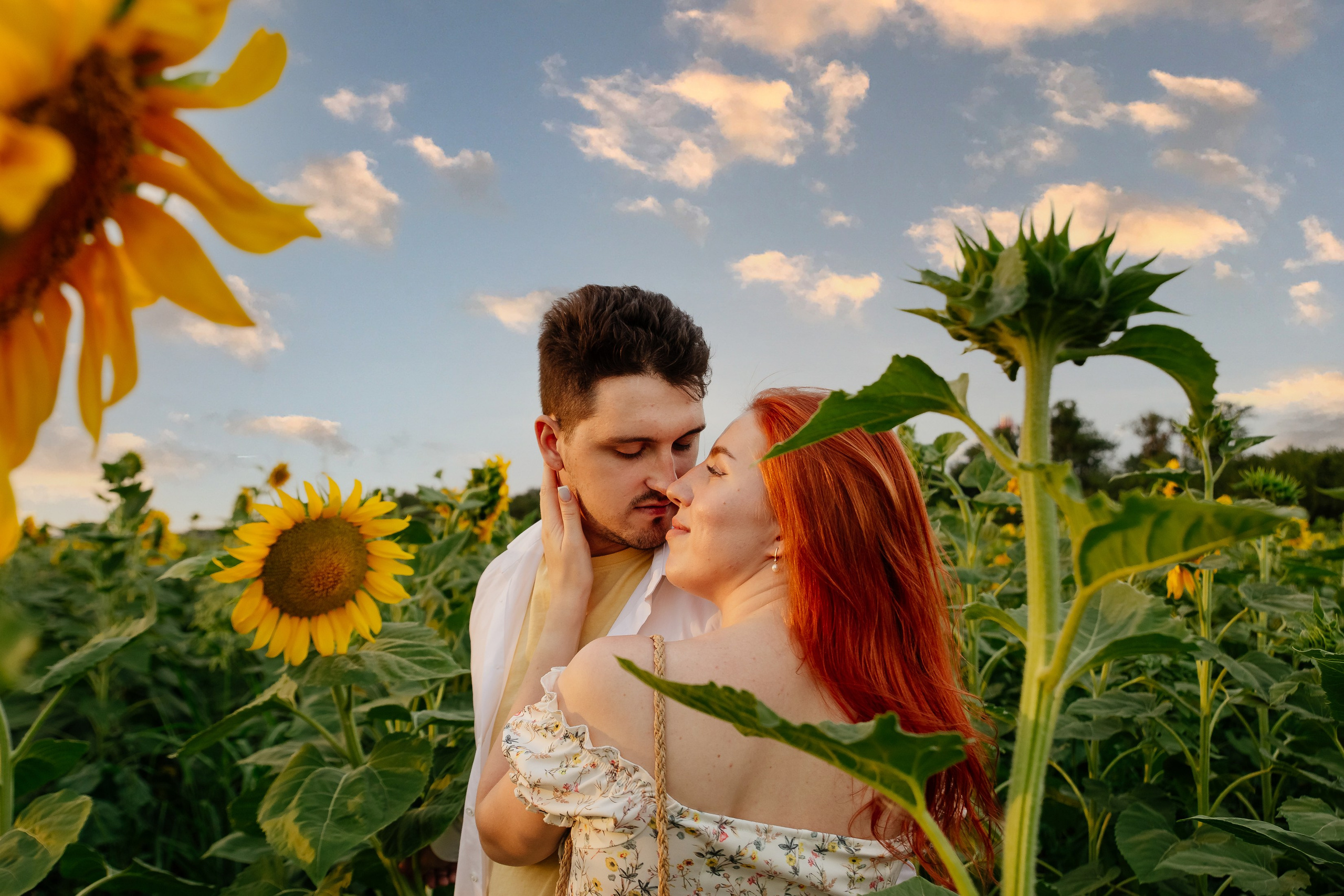 Подсолнухи. Свадебный и семейный фотограф в Краснодаре Илонна Ковалева
