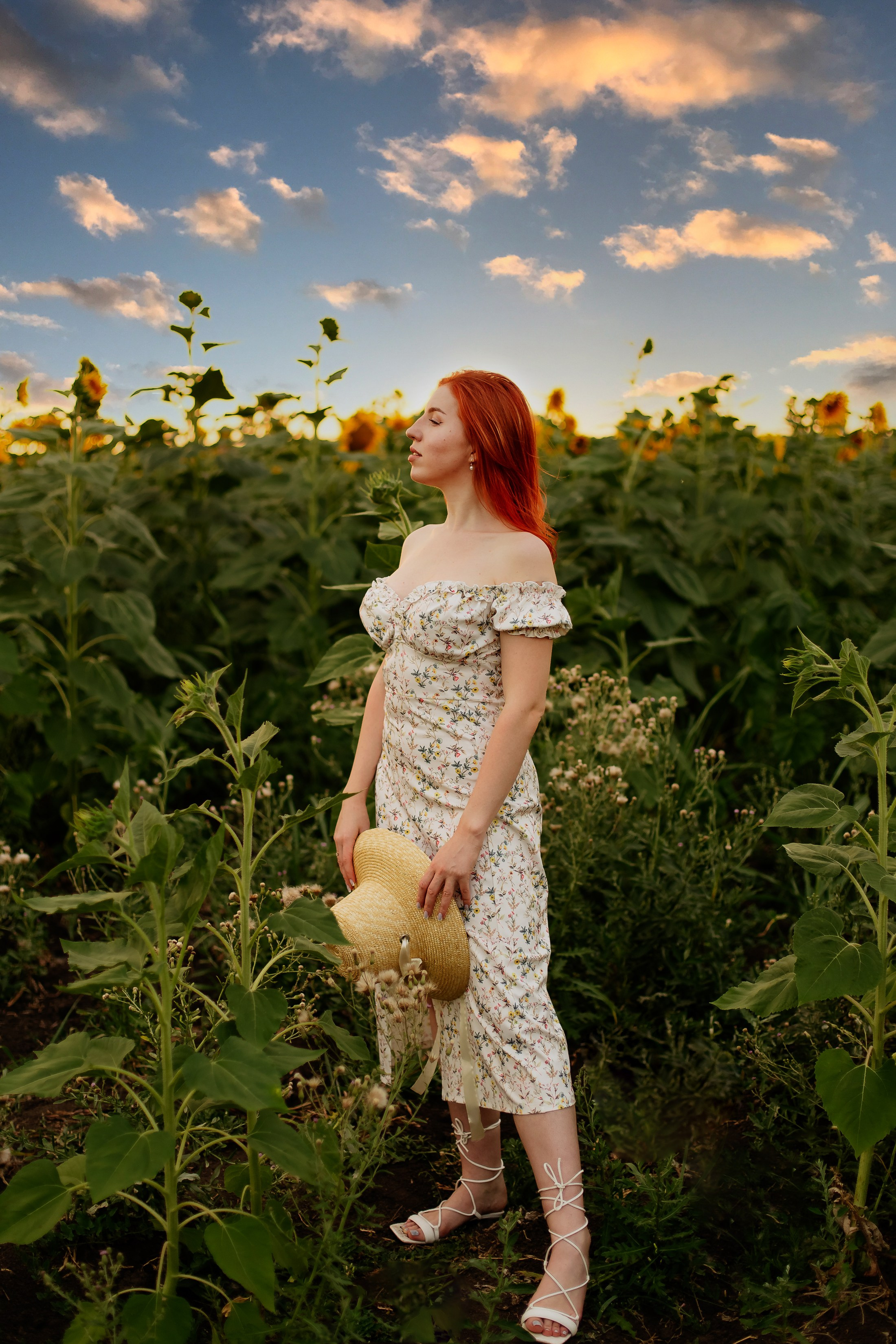 Подсолнухи. Свадебный и семейный фотограф в Краснодаре Илонна Ковалева