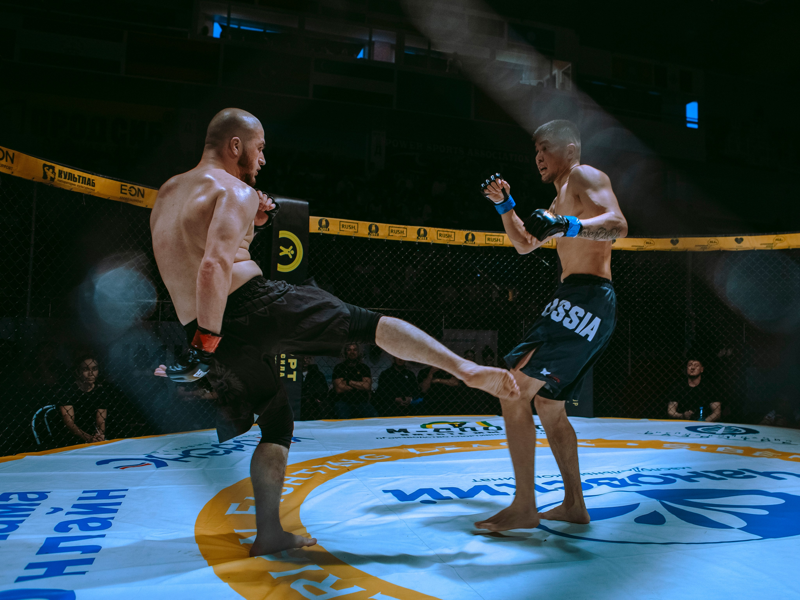 SFL 17 | Siberian Fighting League. Портретный фотограф в Москве Дарья Цезария