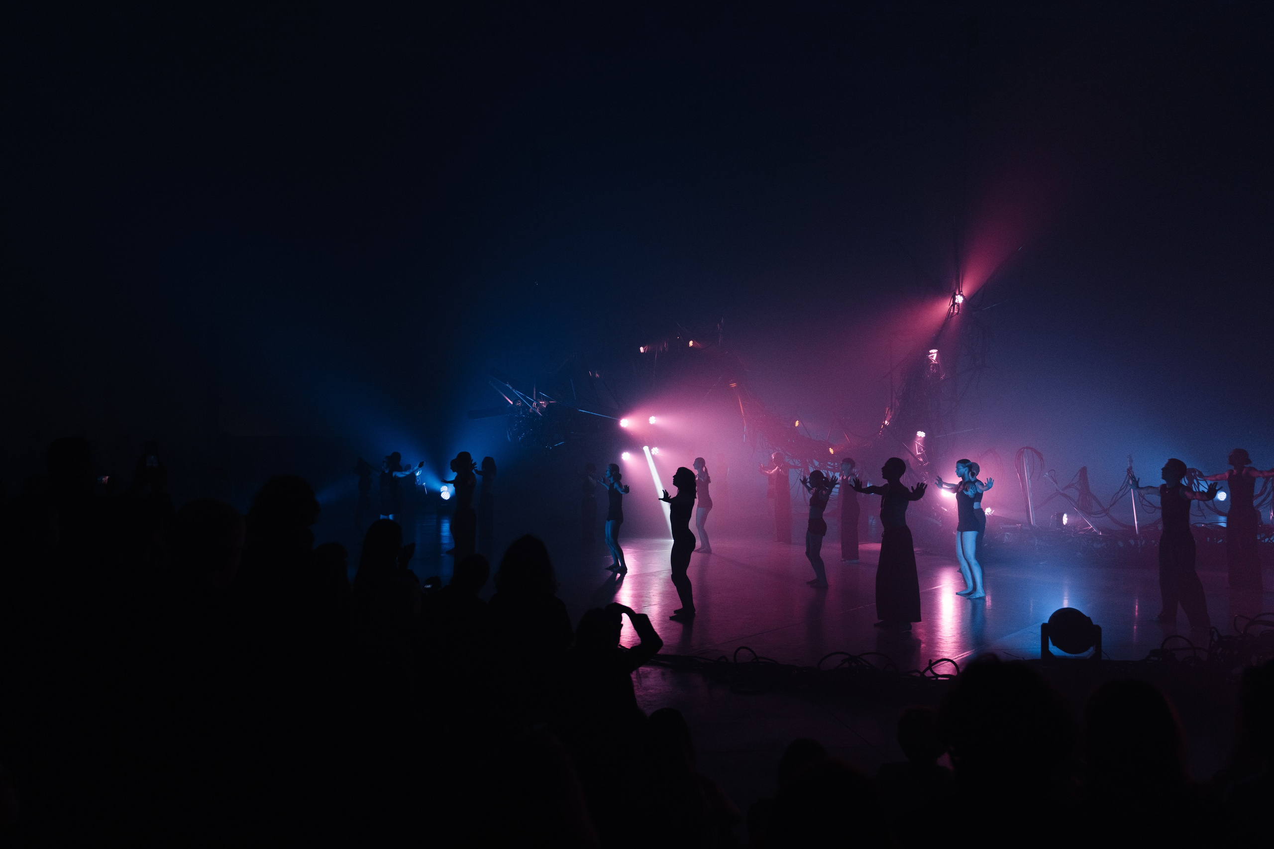 PERFORMA, The Hour of the Horse. @tomrus: Рустам Шагиморданов — фотограф