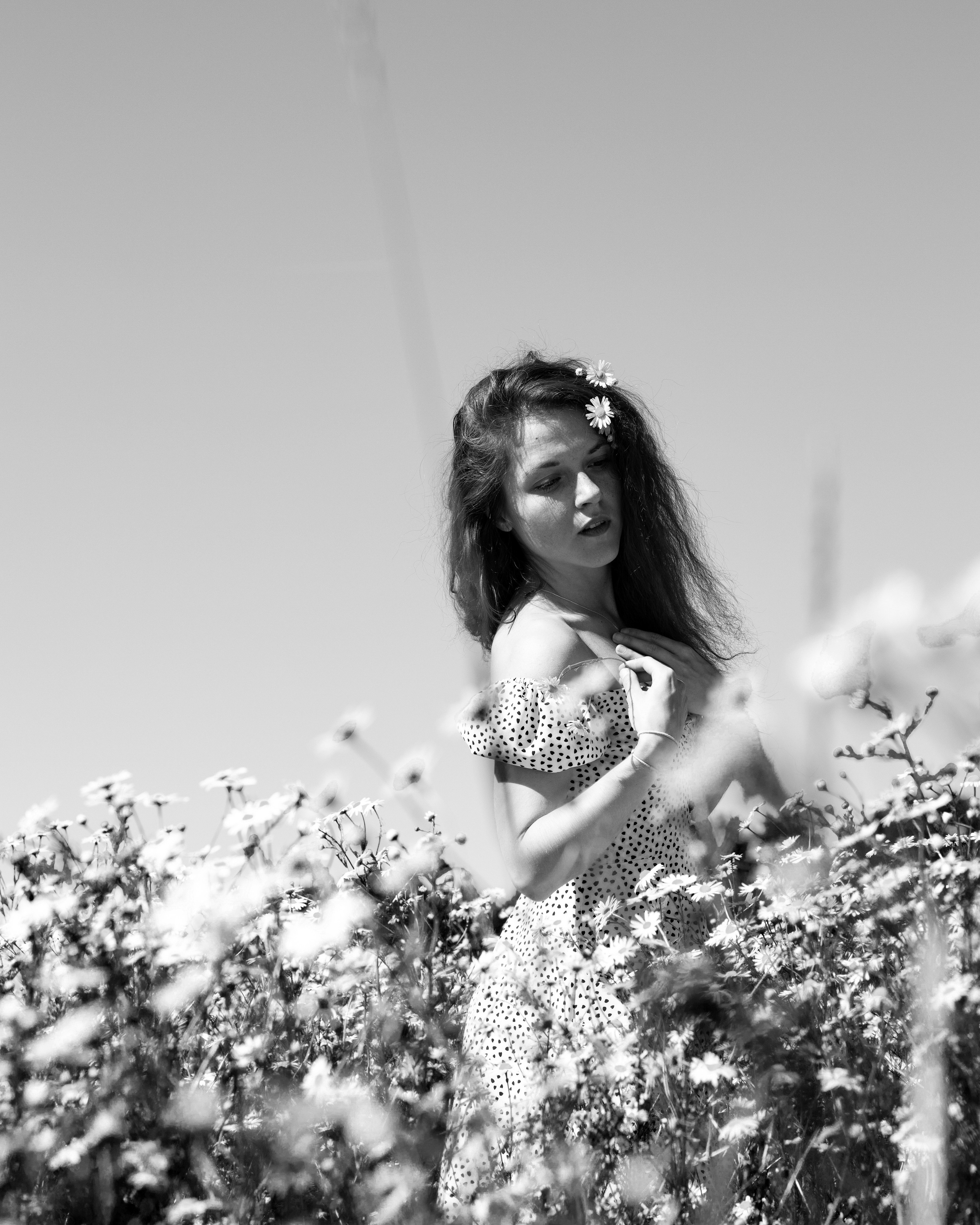 ЧБ ромашки. Портретный фотограф Екатерина Лысенко, Москва