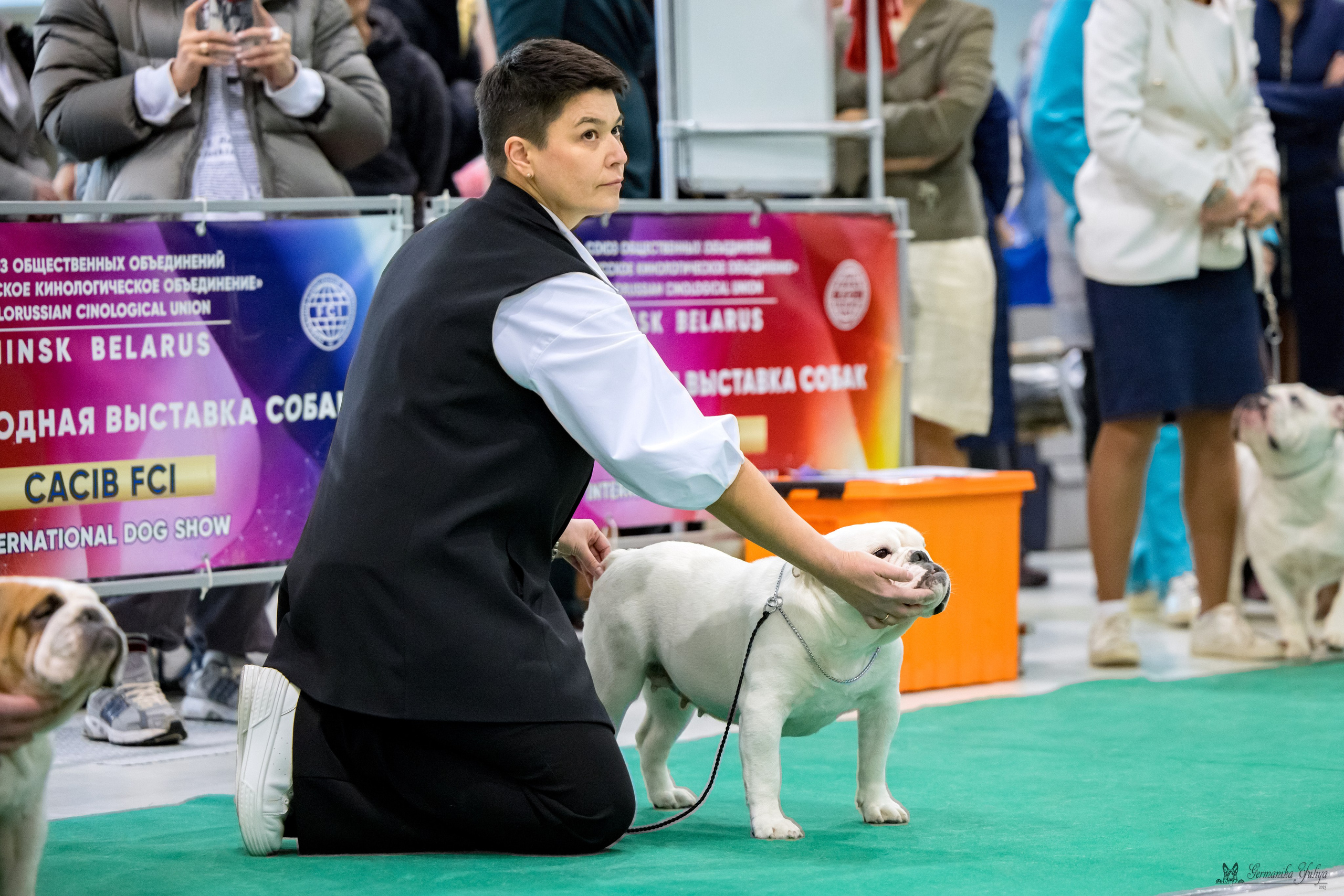 Минск 25-26.11.2023. Фотограф-анималист Юлия Германика