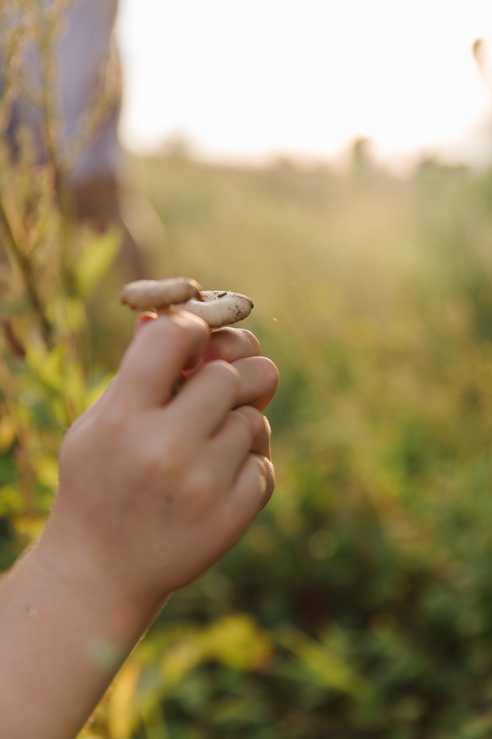 Лиса-Алиса. Маргарита Рубцова свадебный фотограф Тольятти