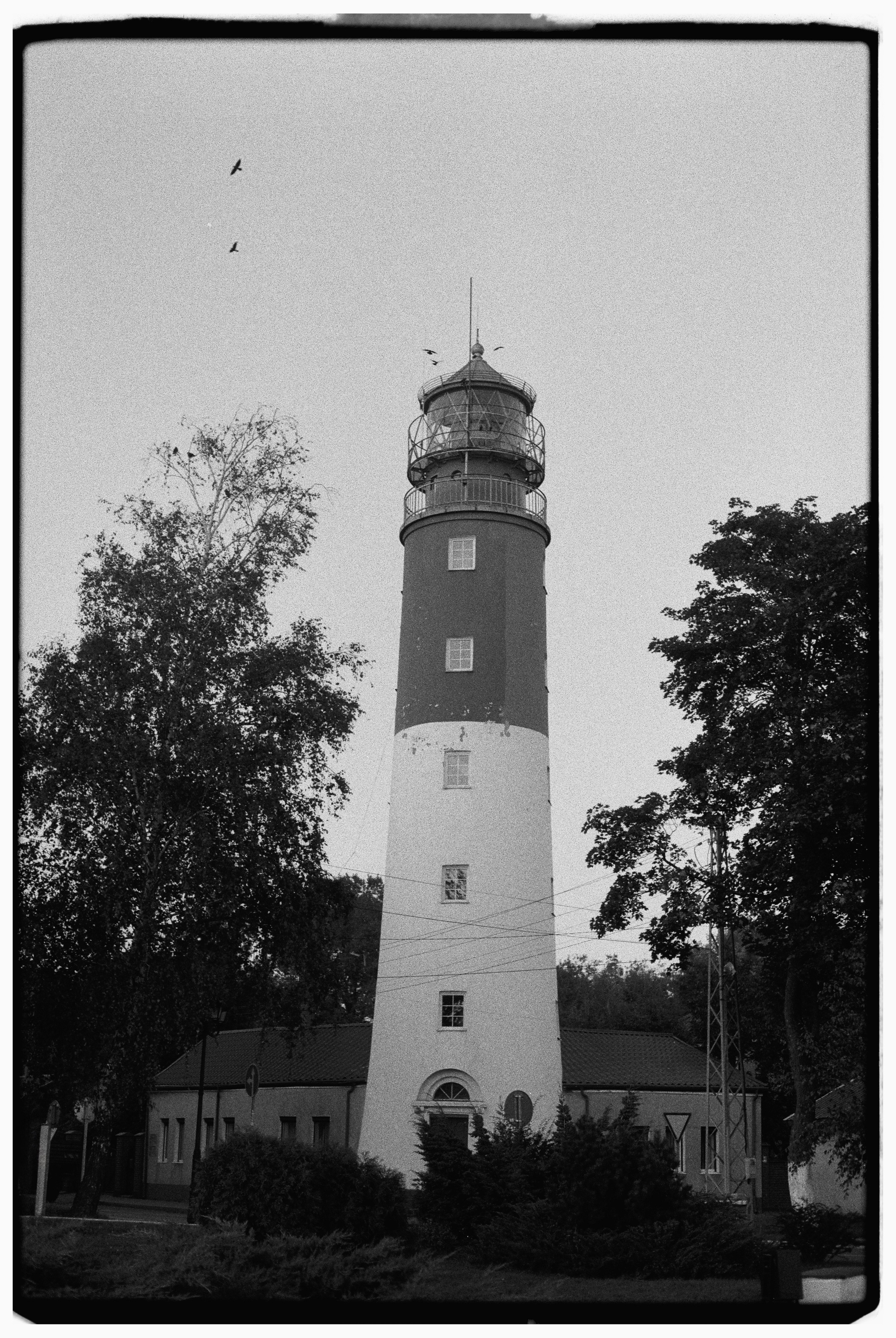 Калининград. Портретный фотограф Софья Хворостова