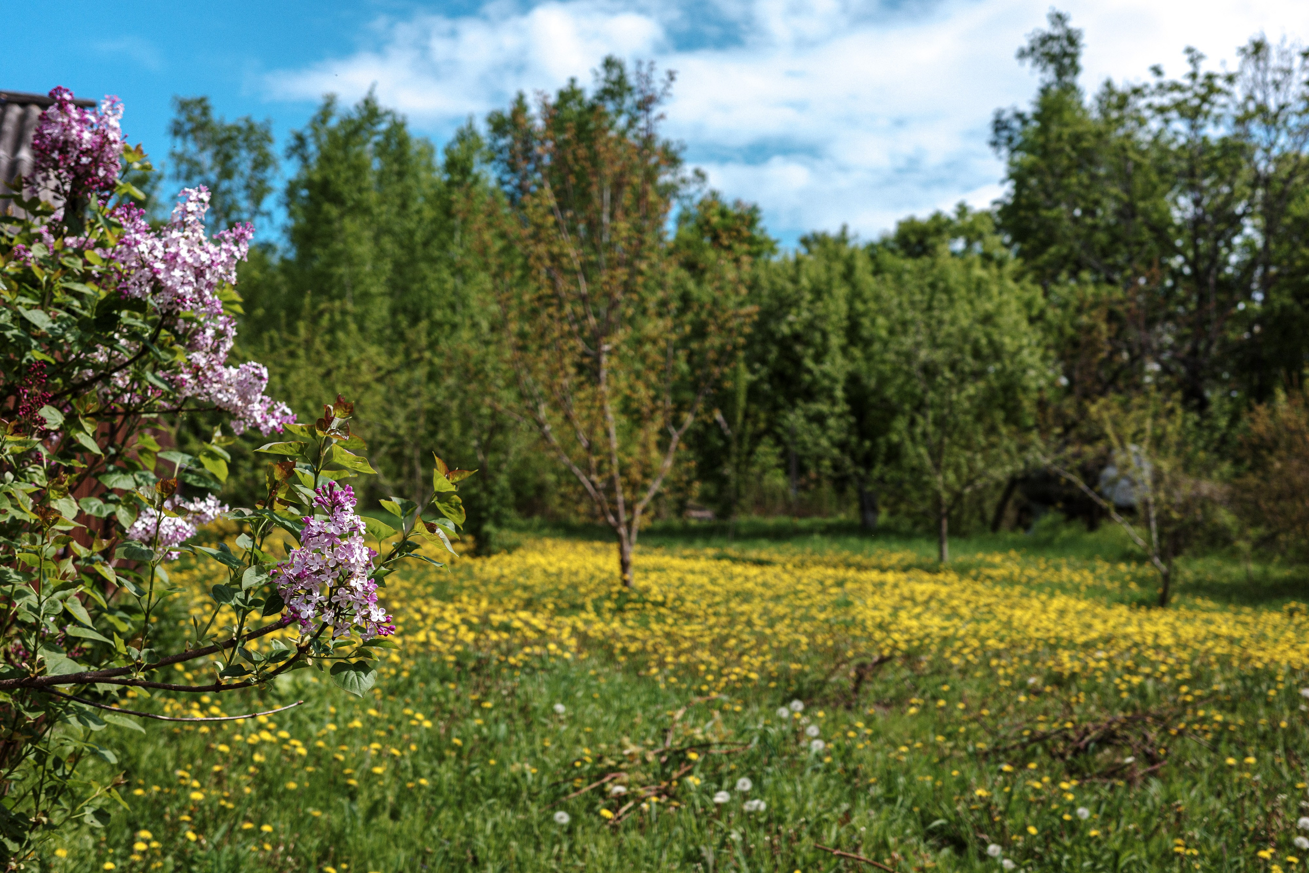 С Димой Уссурийский остров. Фото журналист