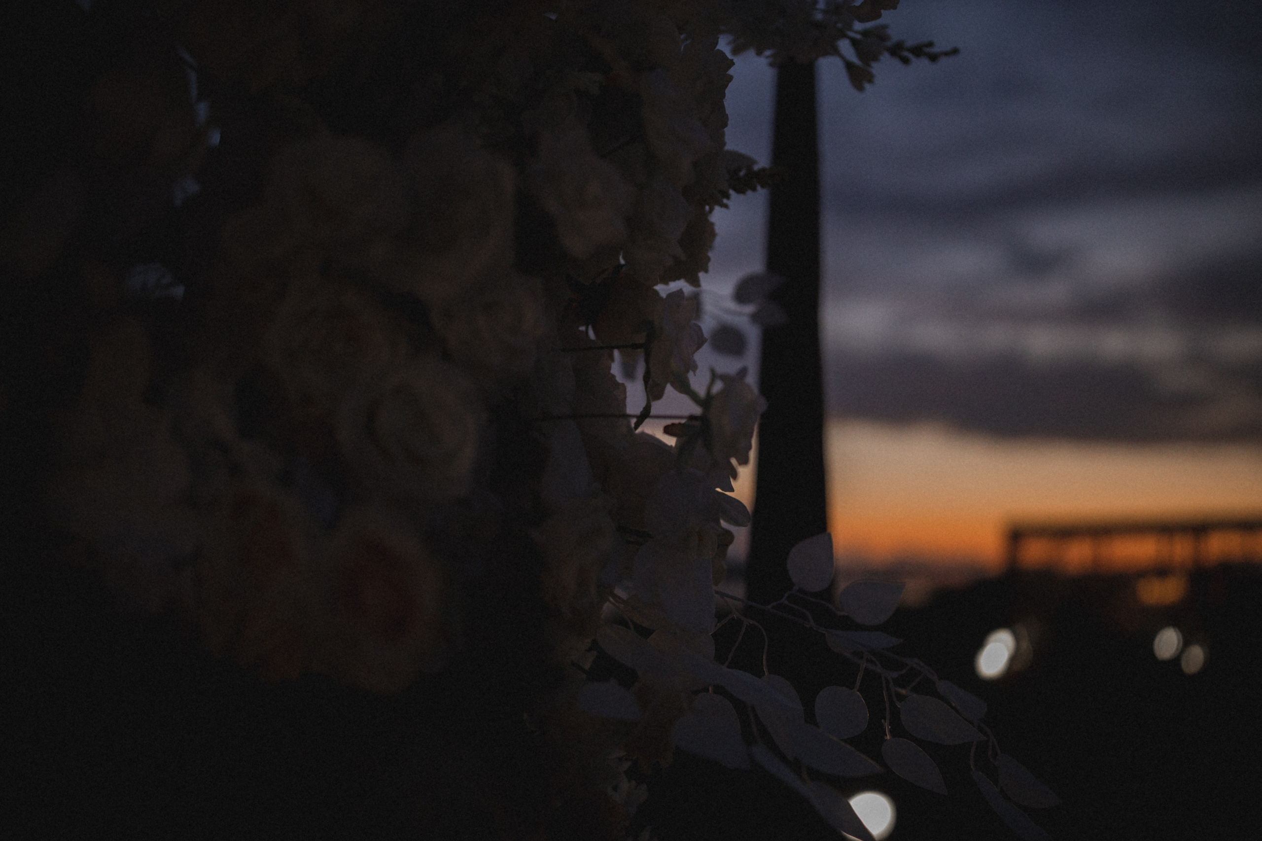 Максим и Юля. Свадебный фотограф в Ярославле Андрей Перегудов