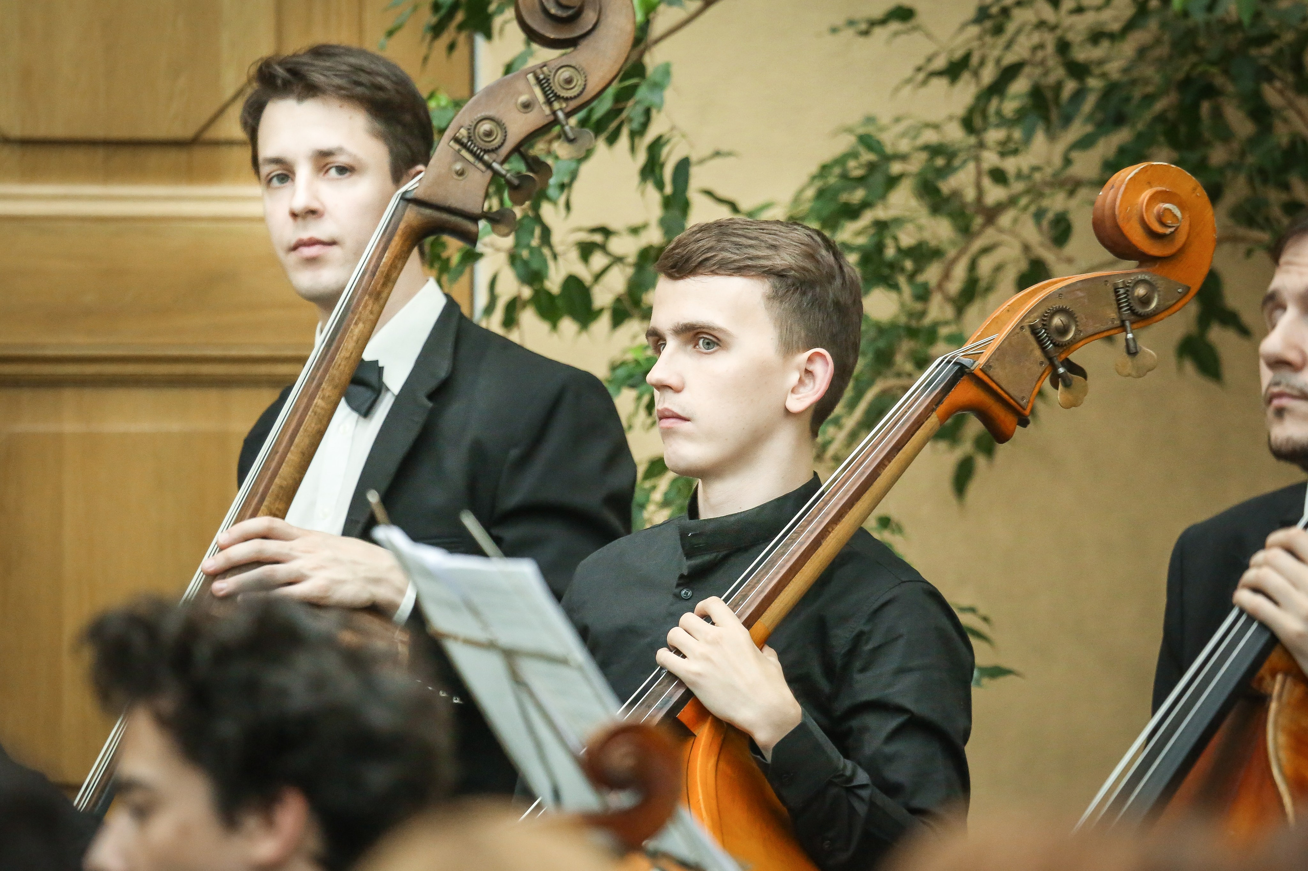 Четвертый фестиваль «Таланты Содружества». Дарья Письменюк / Darya Leitstern — фотограф, музыкант, журналист, путешественник