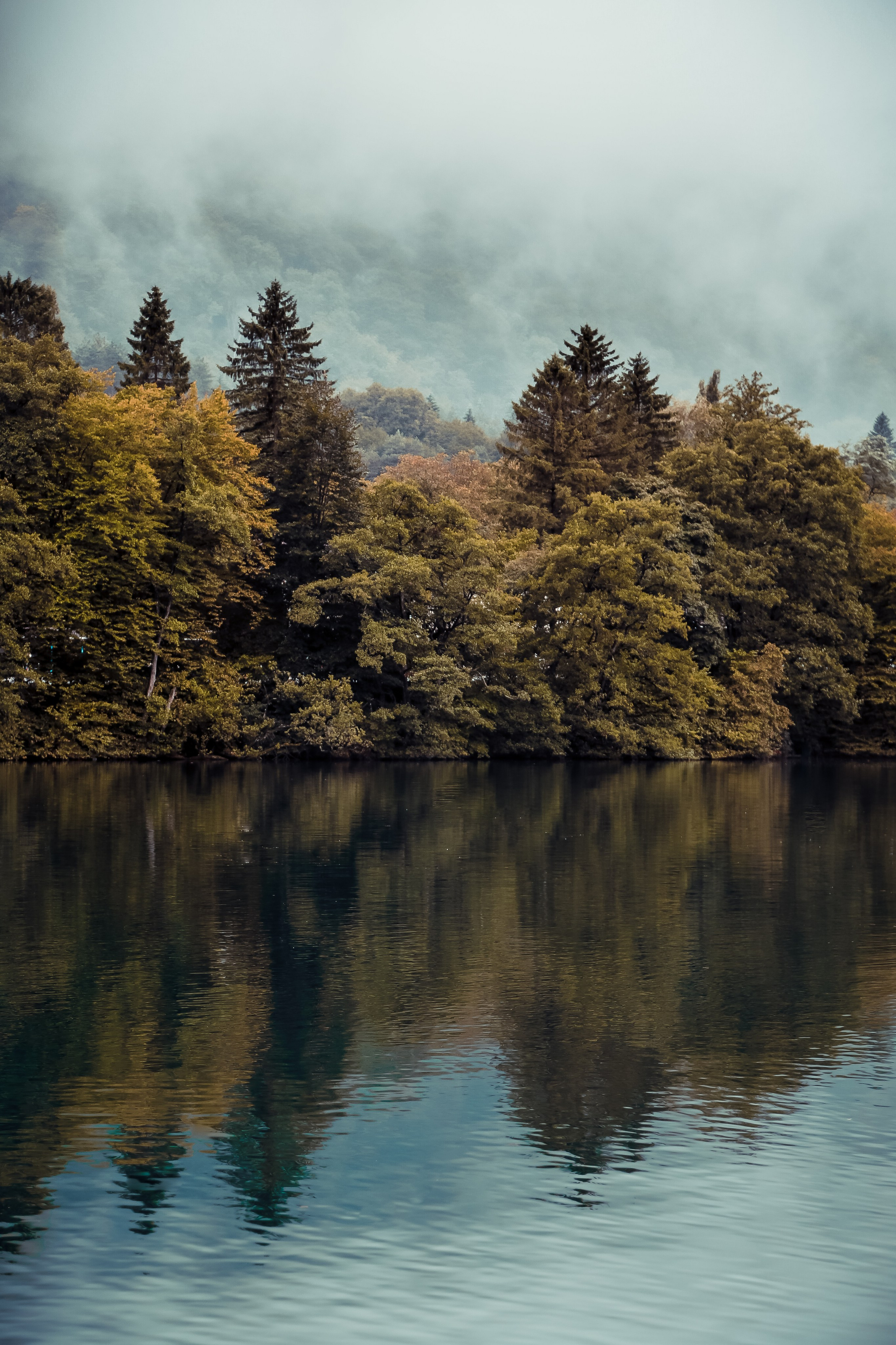 Кавказ: Кабарда vs. Балкария. Дарья Письменюк / Darya Leitstern — фотограф, музыкант, журналист, путешественник