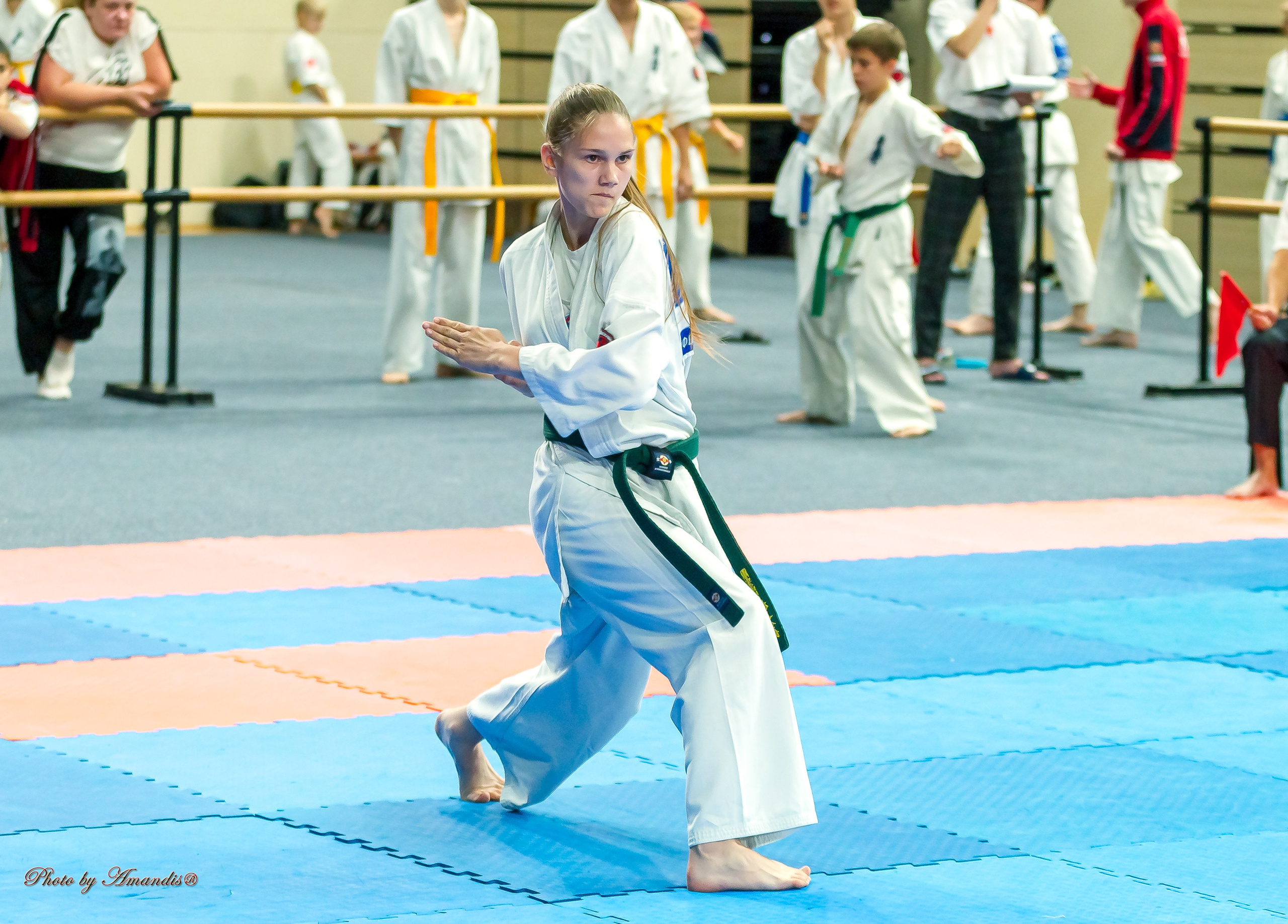 Первенство Московской области по Киокушин в СК «Жаворонки». Репортажная съемка в Москве и области. Анималистика