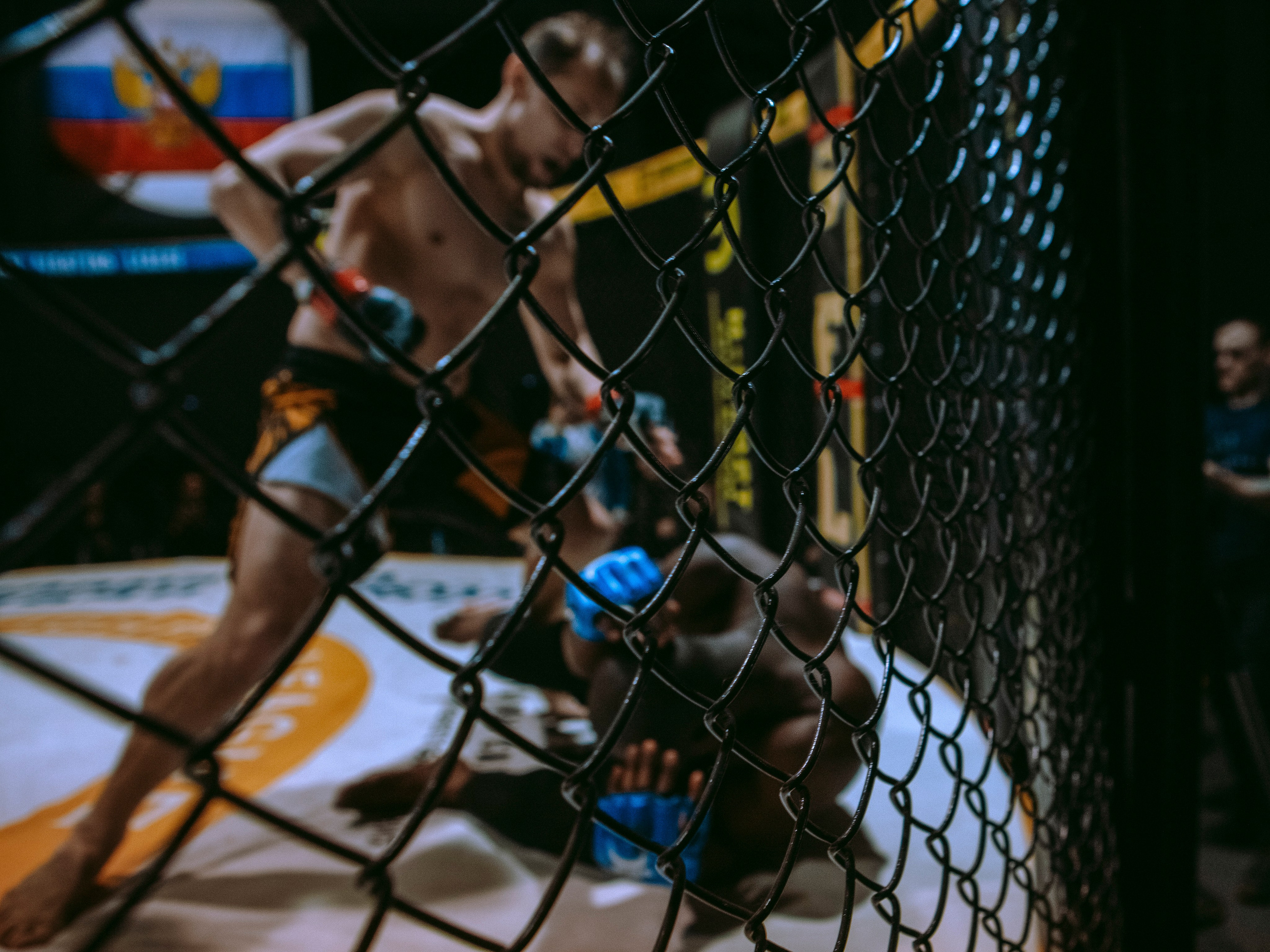 SFL 17 | Siberian Fighting League. Портретный фотограф в Москве Дарья Цезария