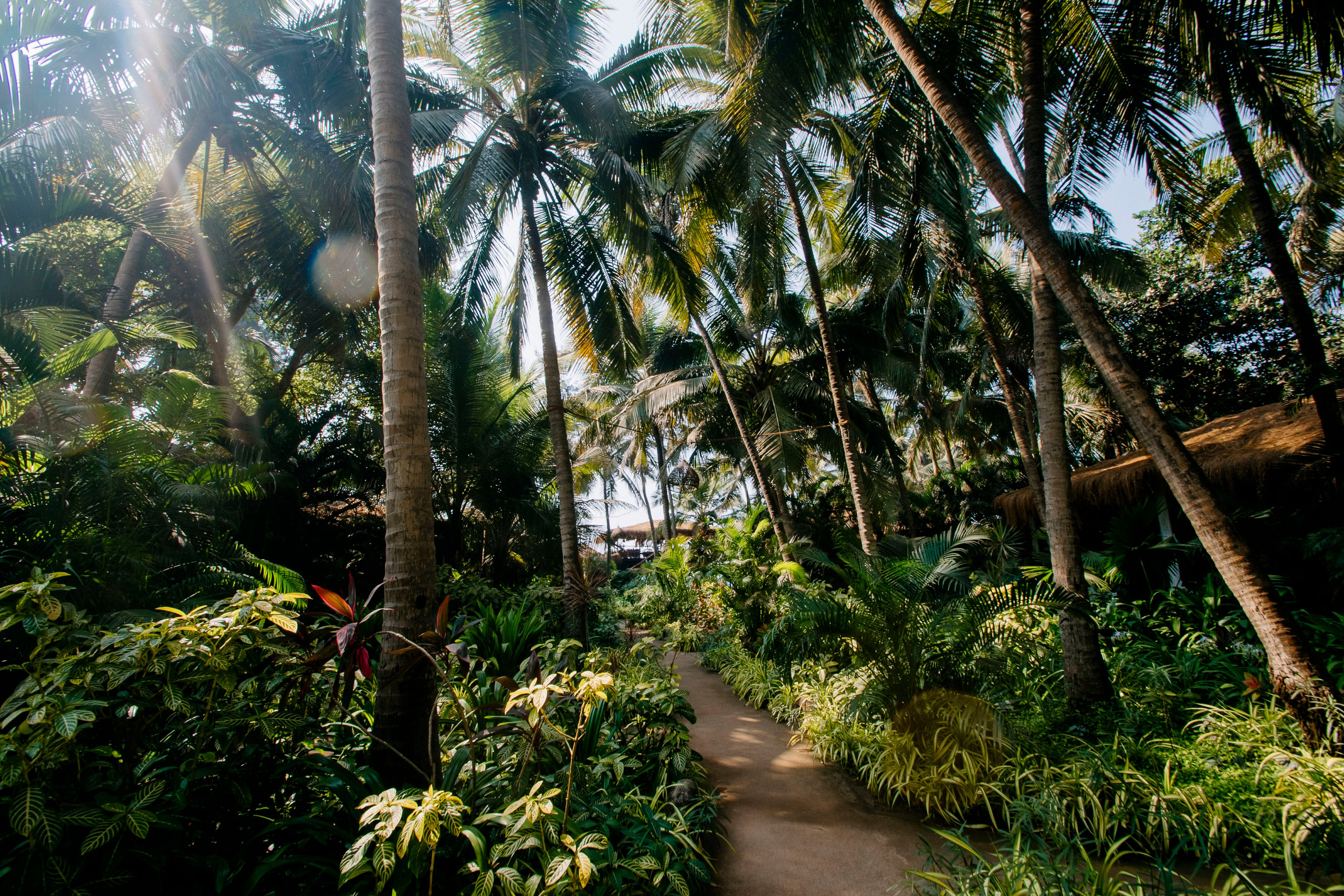 Гоа. индия. Iraogo