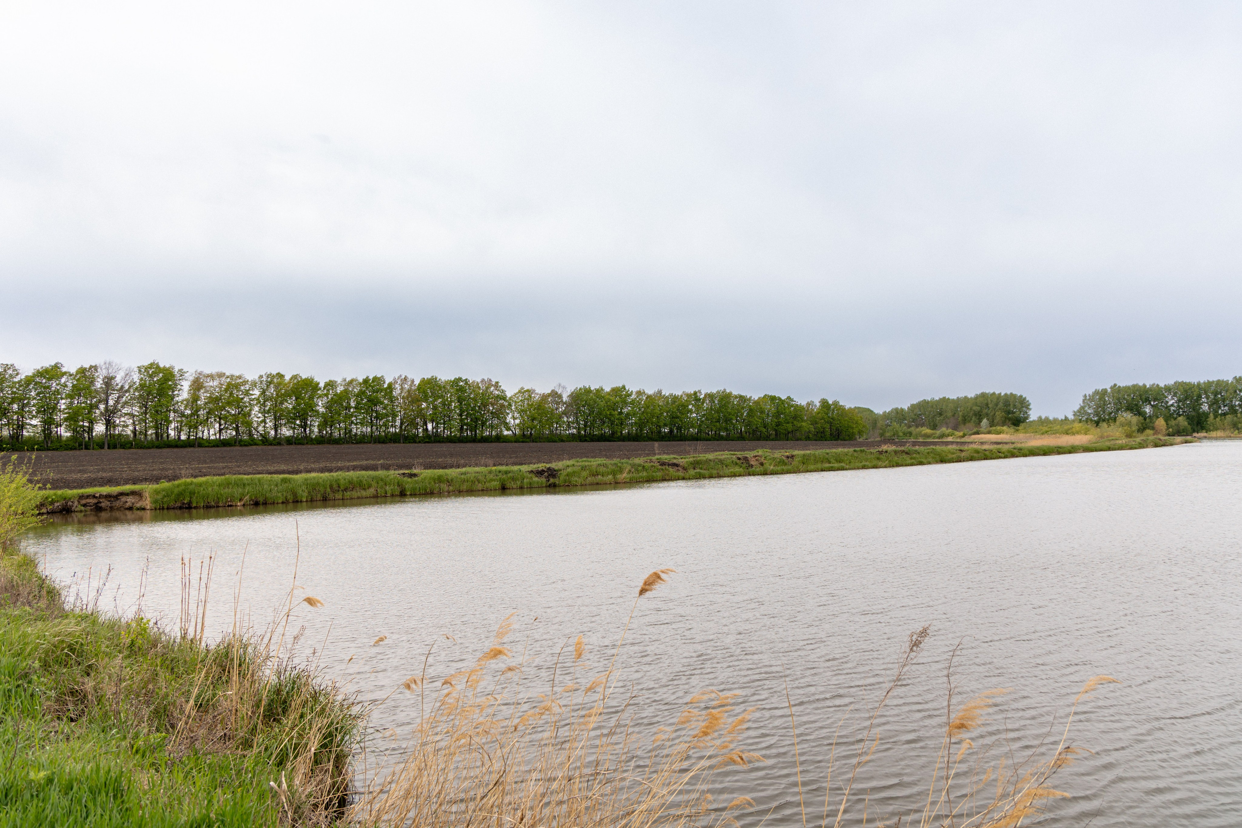Приусадебный участок. Владислав Волков | Фотография и видеосъемка в Воронеже