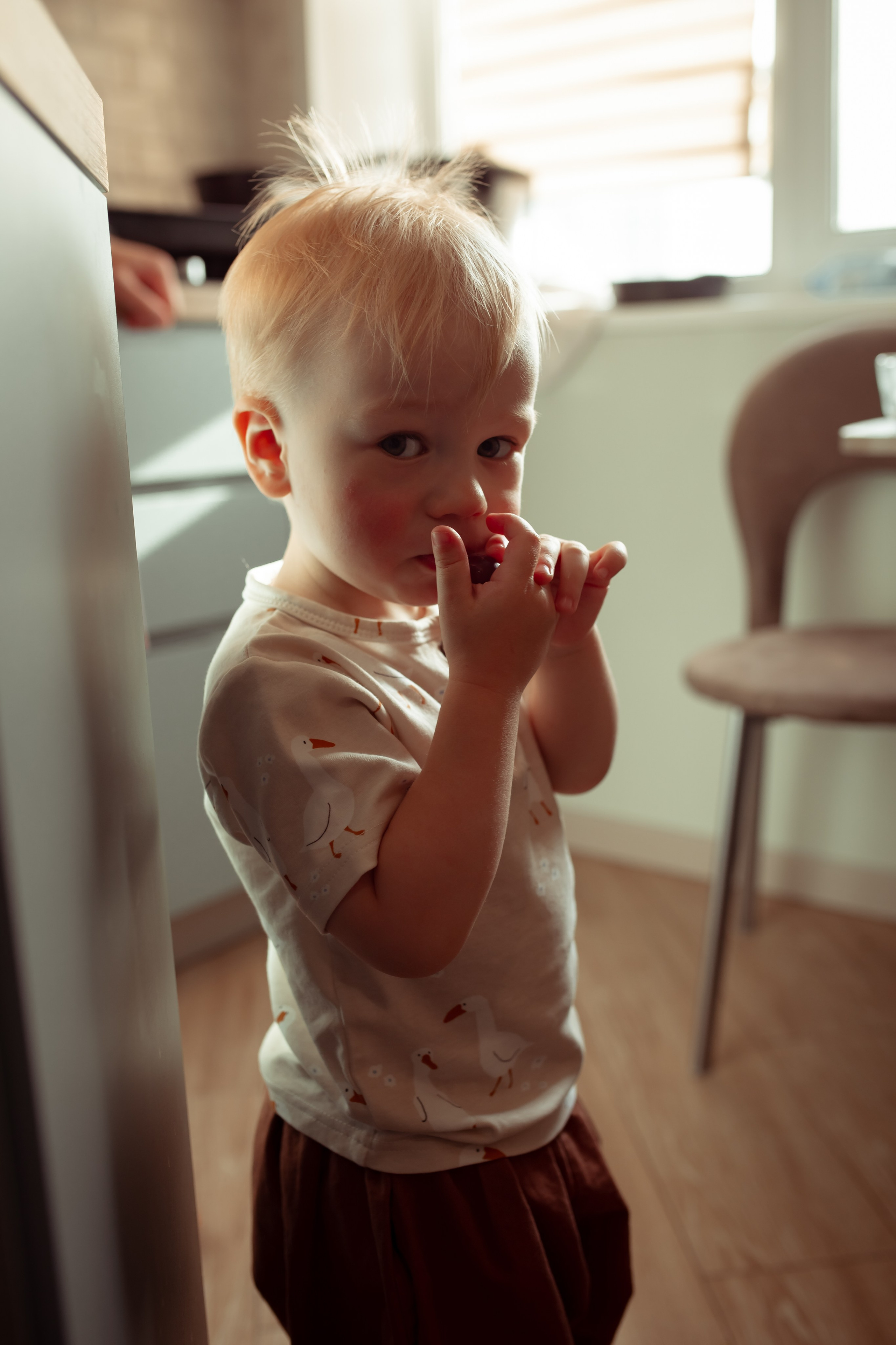 День рождение Арсения+домашняя съемка. Семейный и детский фотограф в Москве Дорогова Екатерина