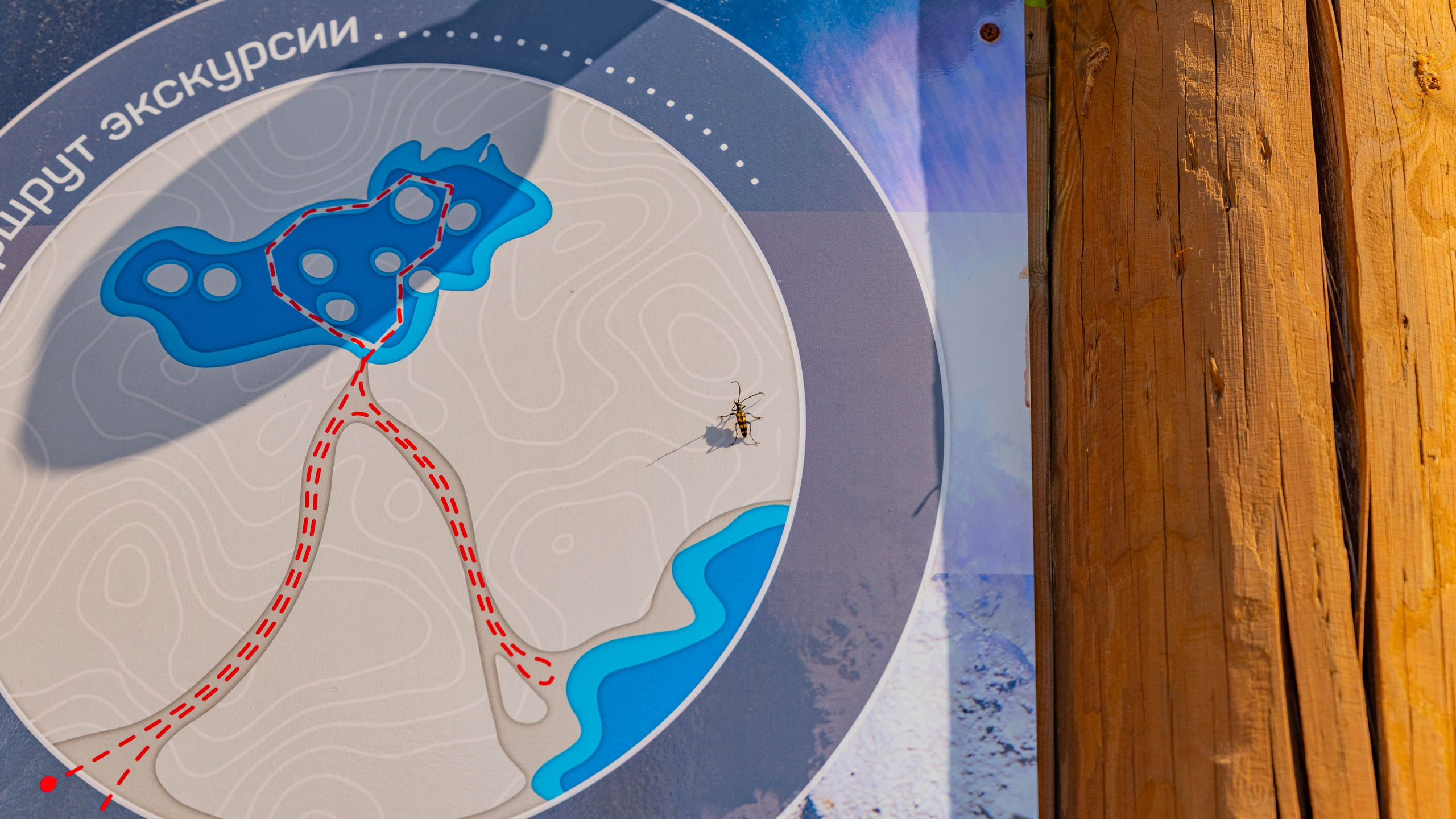 2025 07 Выборг — Сортавала — Великий Новгород — Псков. Фотографии