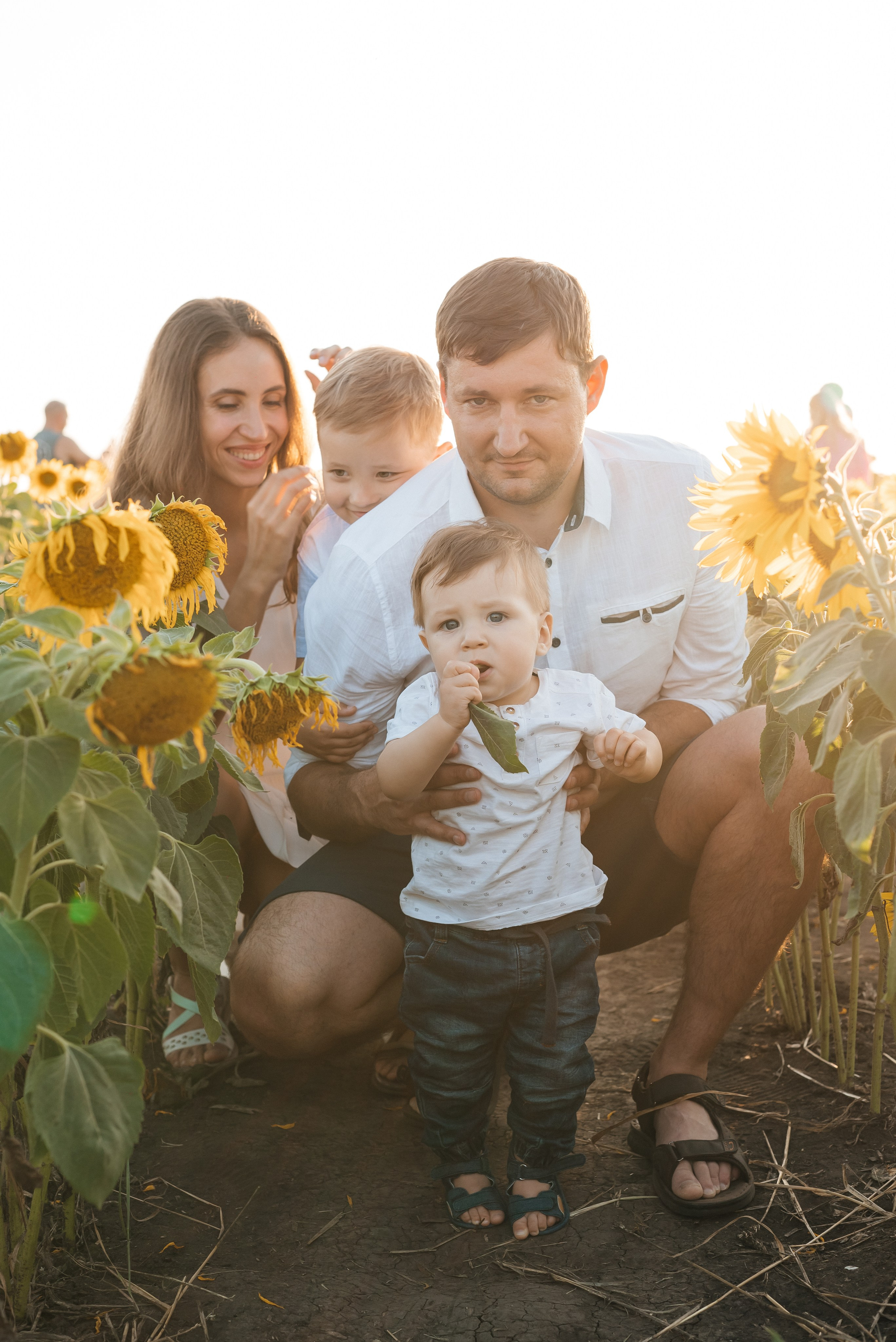 Подсолнечно. Свадебный фотограф