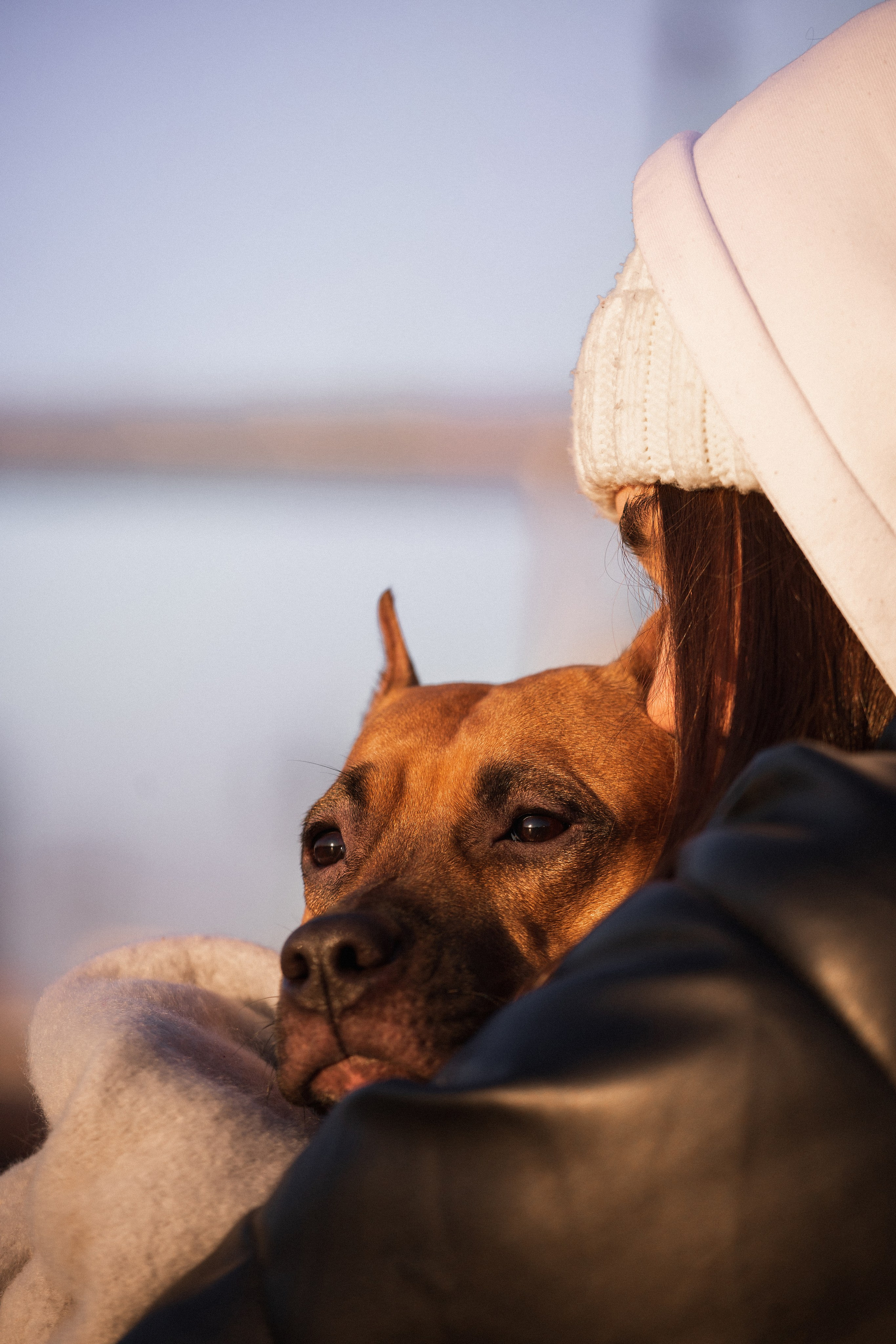 Арина и Стэфи. Фотограф — анималист Владивосток, Алина