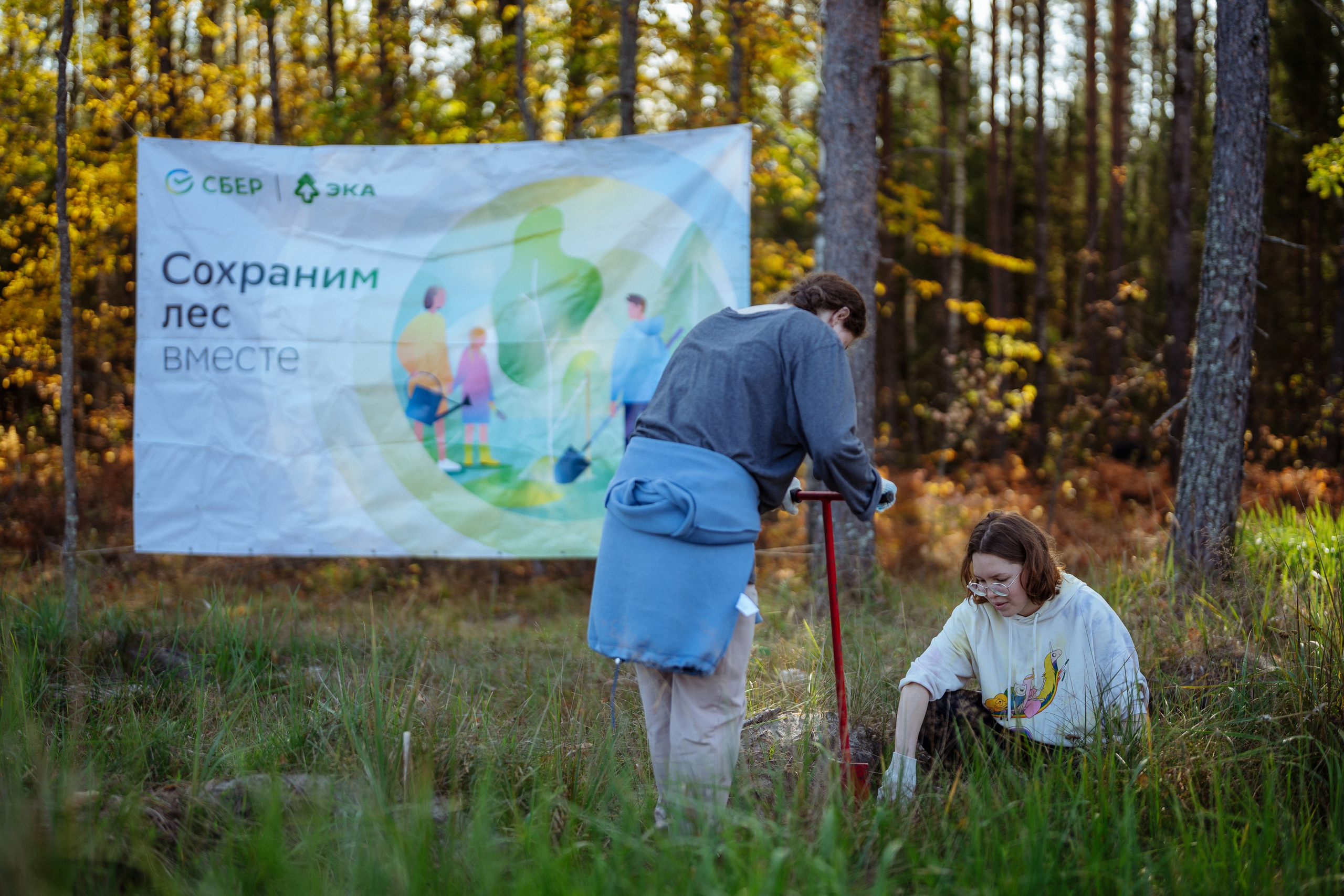СБЕР · ЭКА · Посадка сеянцев. Владимир Вершинин, тот самый свадебный видеограф