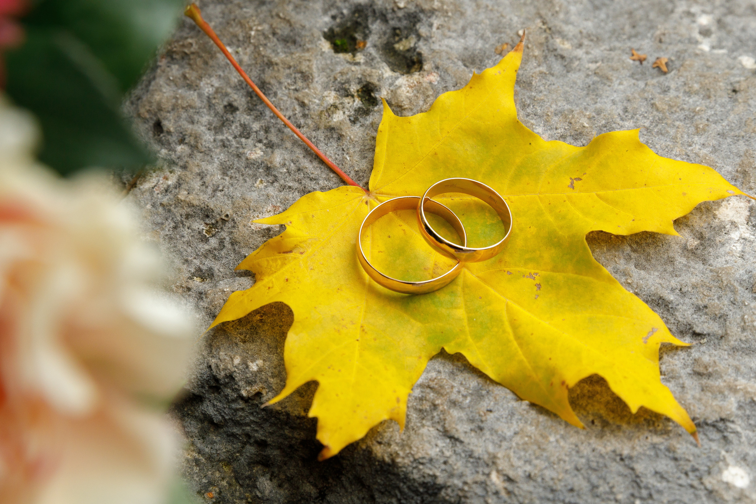 Отзывы. Костин Евгений | Фотограф на свадьбы и мероприятия во Владимирской области