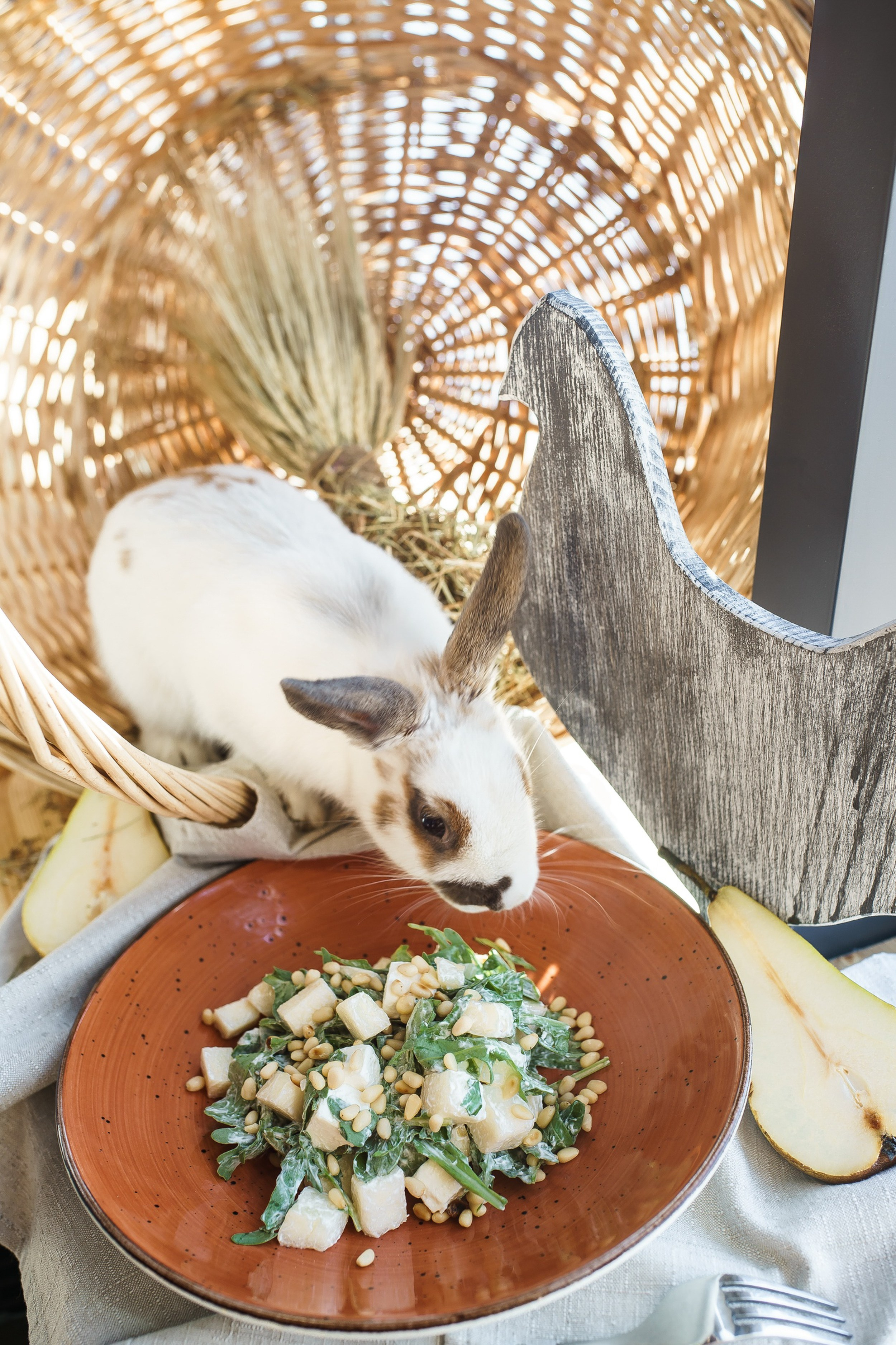 Фотосъёмка для HoReCa. All In Media — фотосъёмка и видеопродакшн