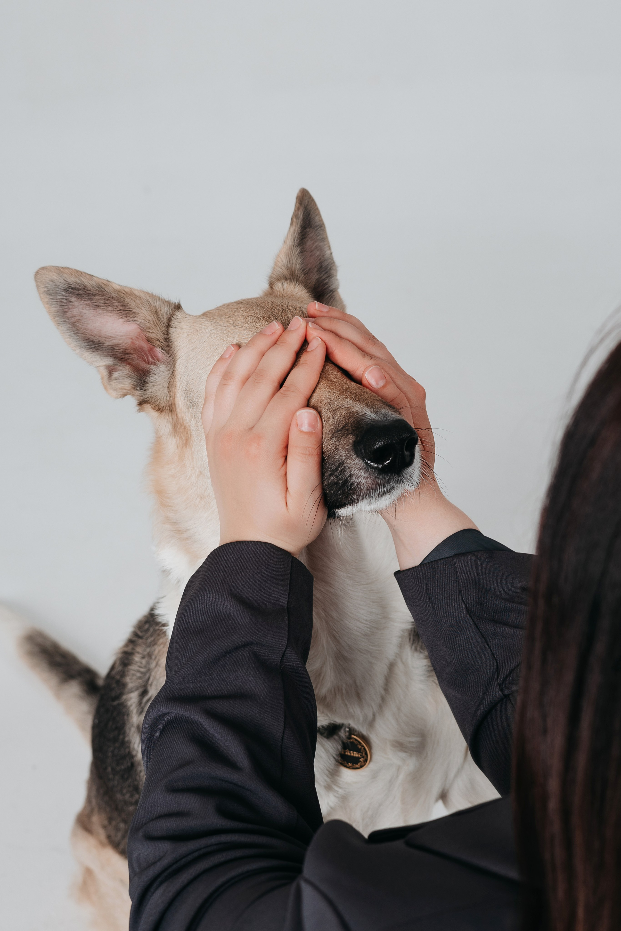 Анна и Бейлис. Фотограф — анималист Владивосток, Алина