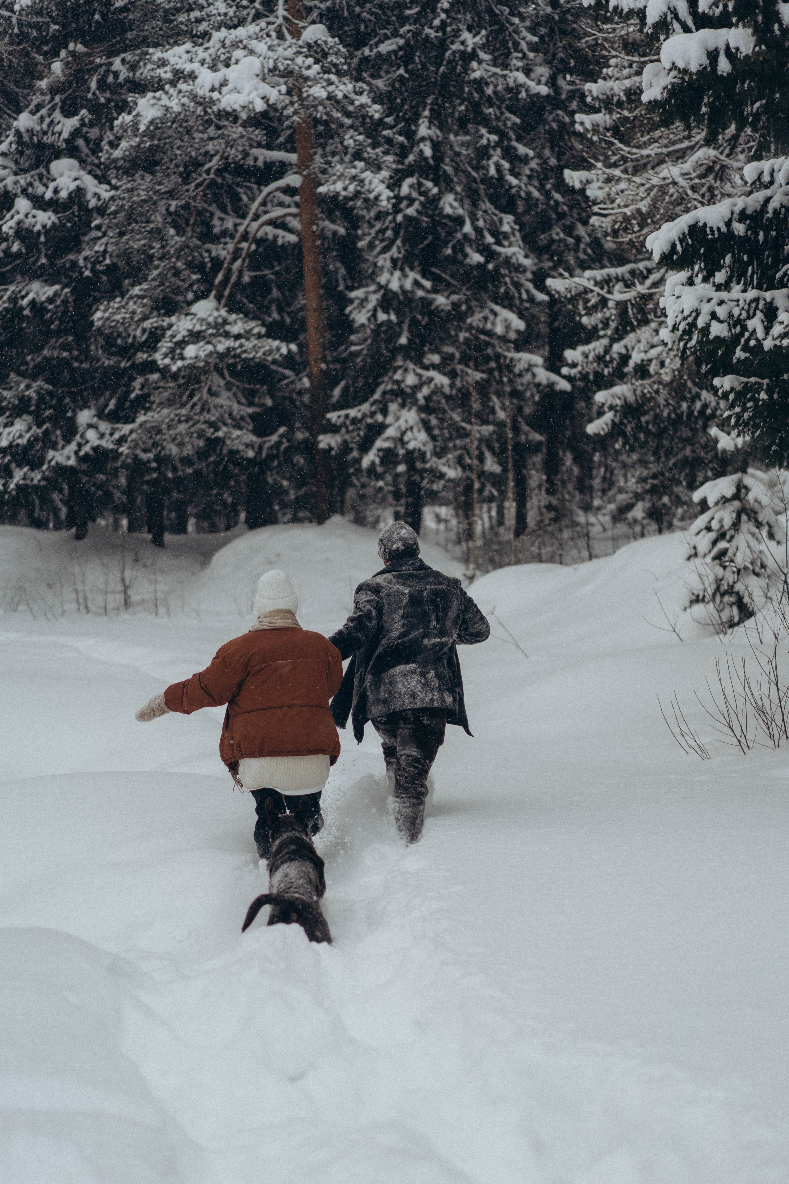 Winter love. Свадебный фотограф Анастасия Хабарова в Новоуральске и Екатеринбурге