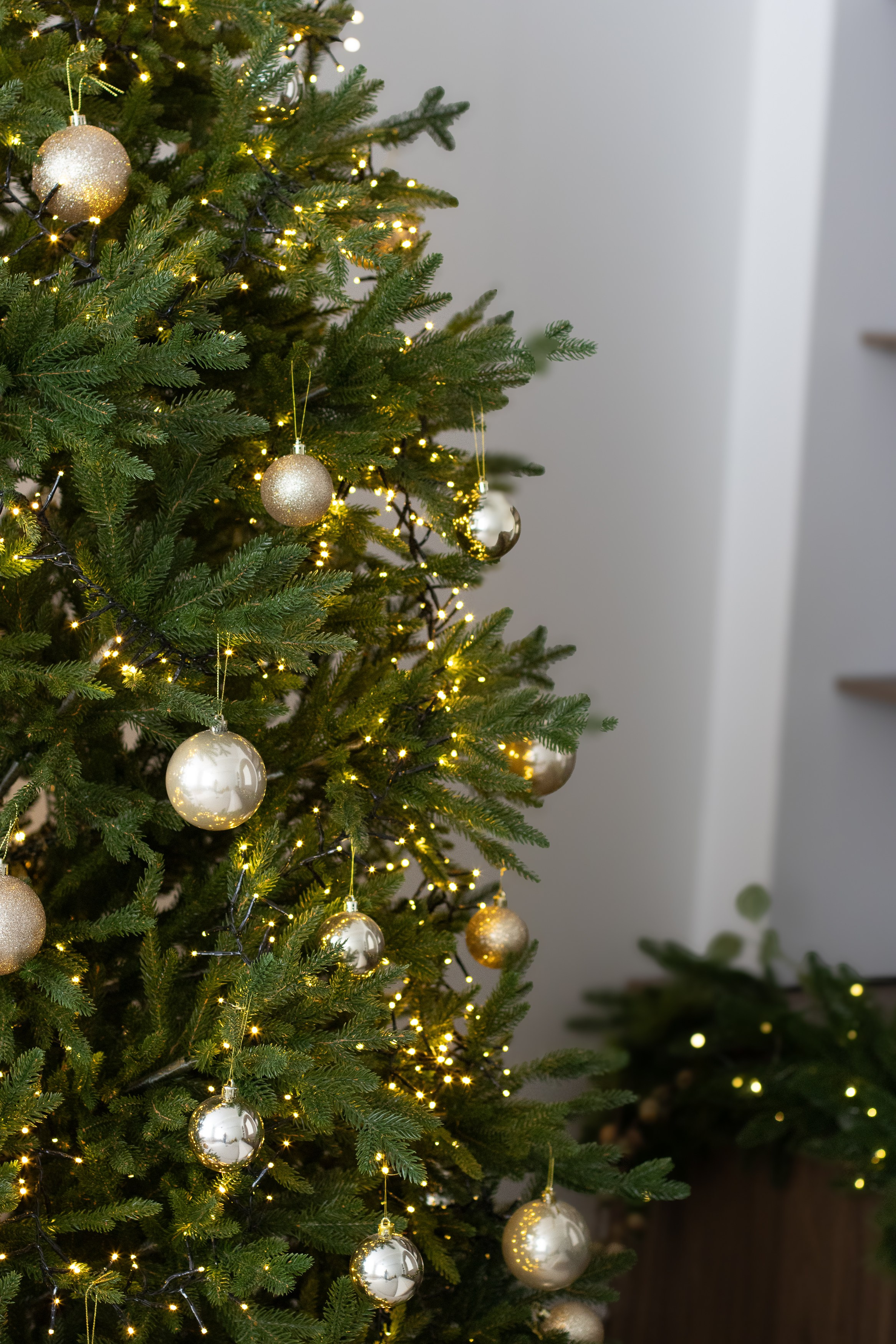 Семейная фотосессия. Фотограф Татьяна Матрос