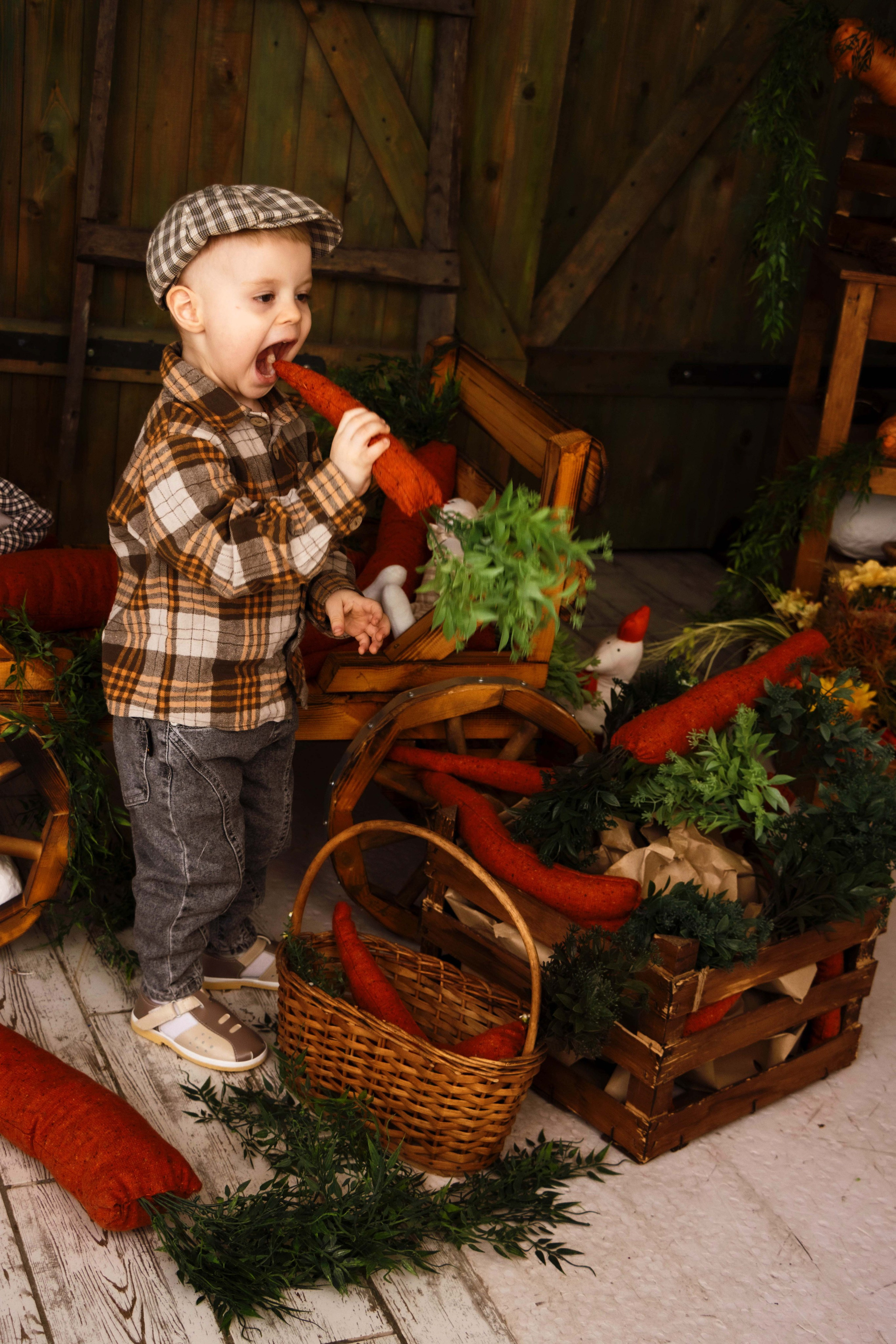 Лев. Фотограф Татьяна Матрос