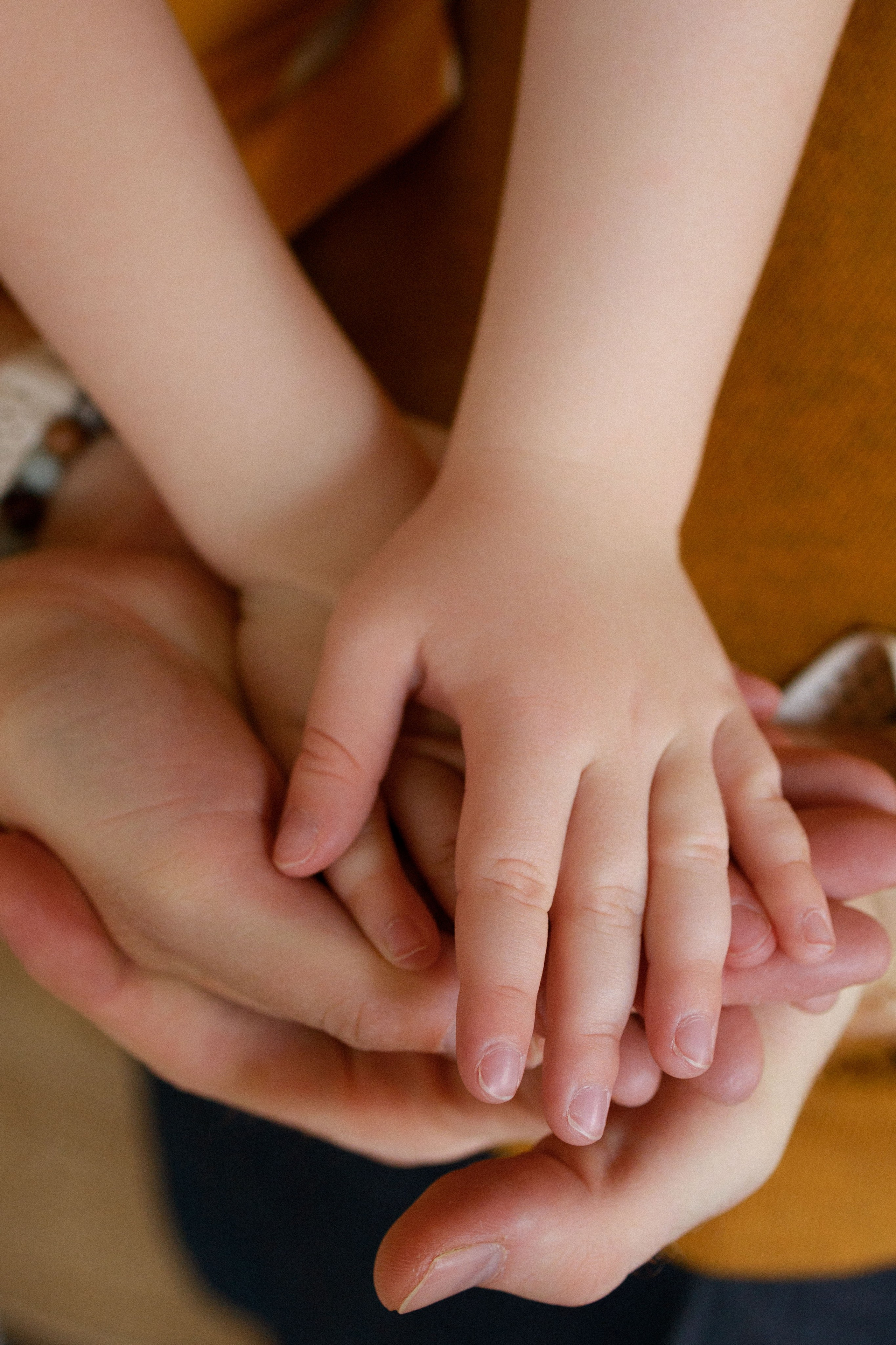 Фотосессия с утятами. Семейный видеограф в Москве Элина Ладова