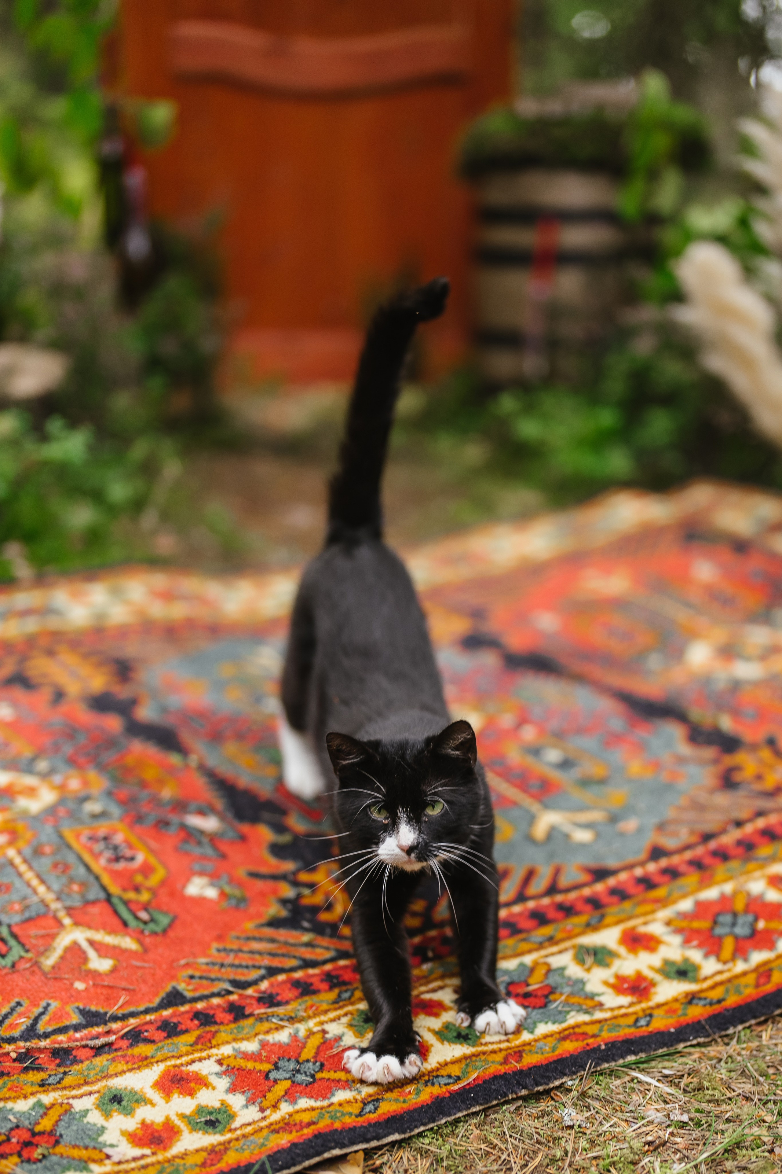 Л+Ю. Андрей Сухинин репортажный свадебный фотограф Санкт-Петербург