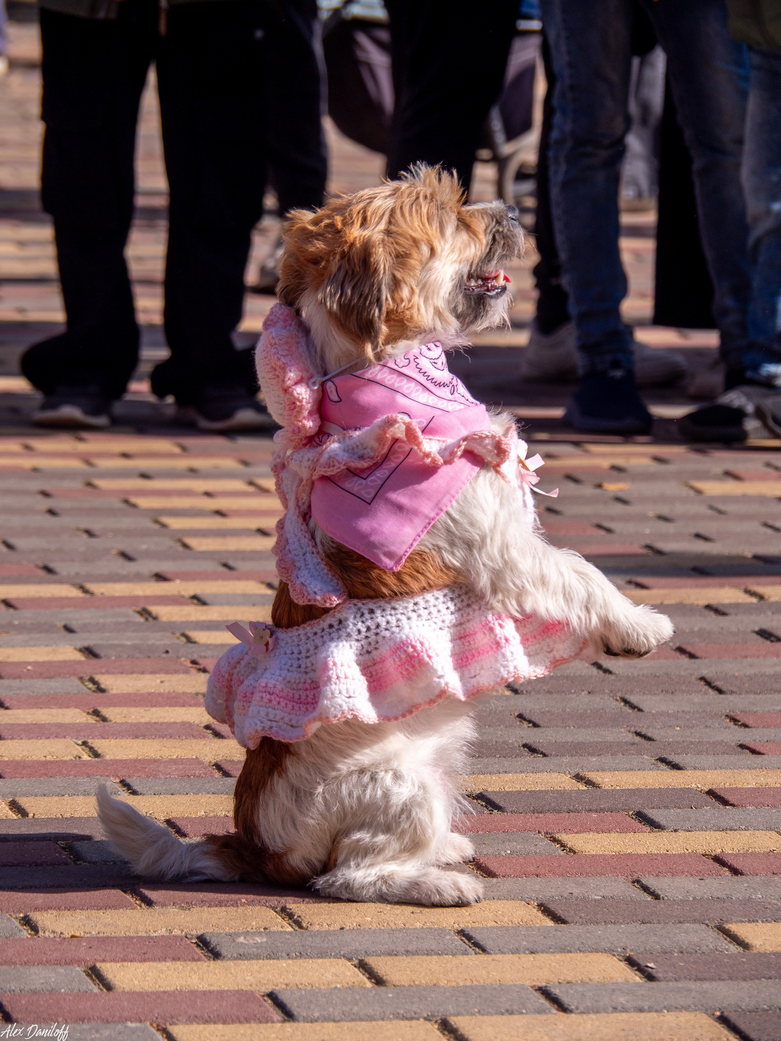 Обнимака 2025. Муром-Инфо. Новости культуры, образования, спорта в городе Муром