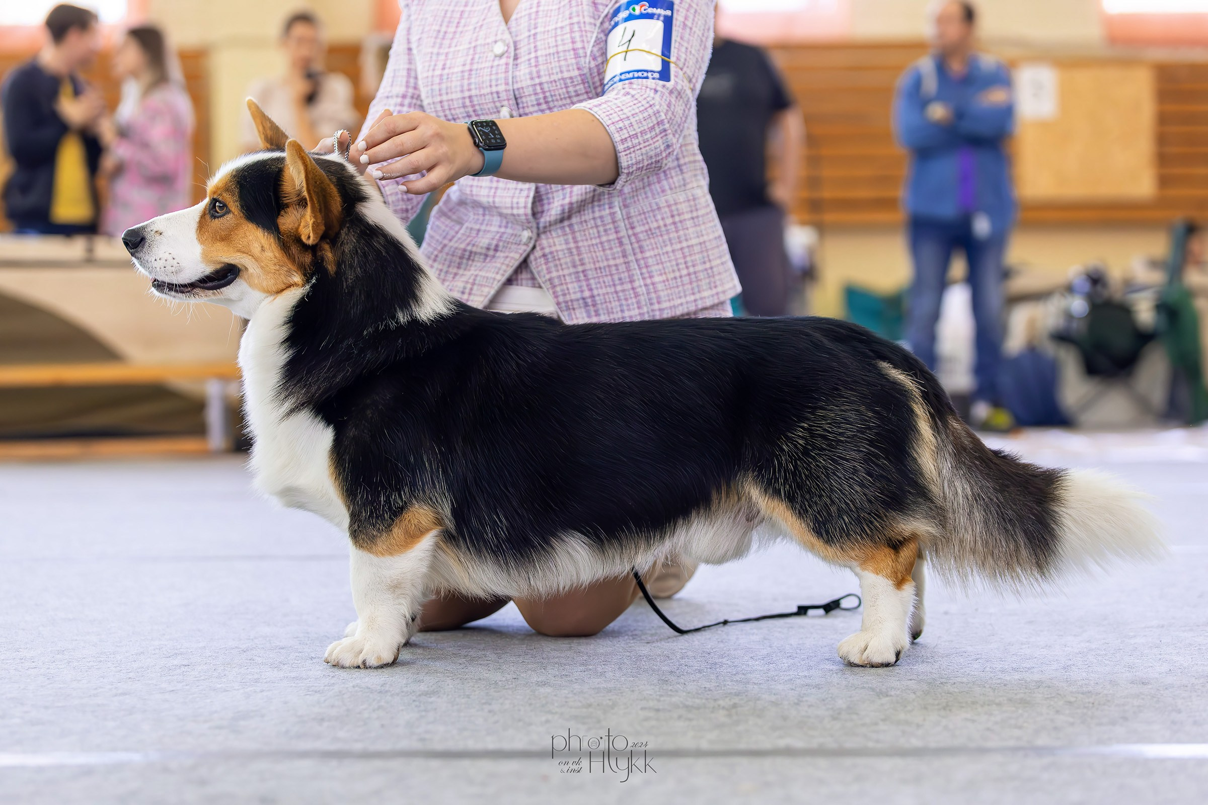 15 сентября 2024, Выставка РКФ, г. Ижевск. Htykk_photo