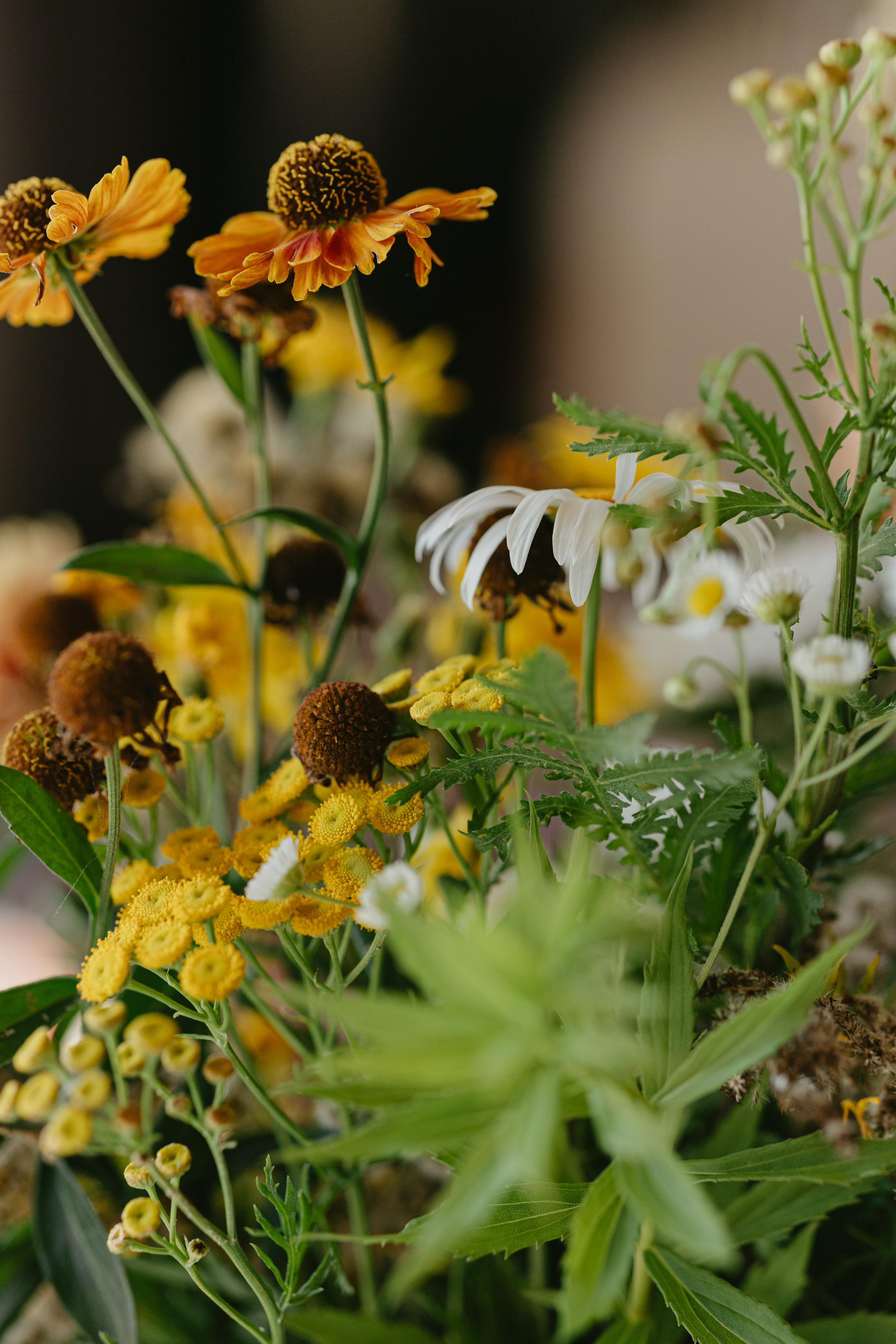 Ваза Чичек. Фотограф Эльмира Лин