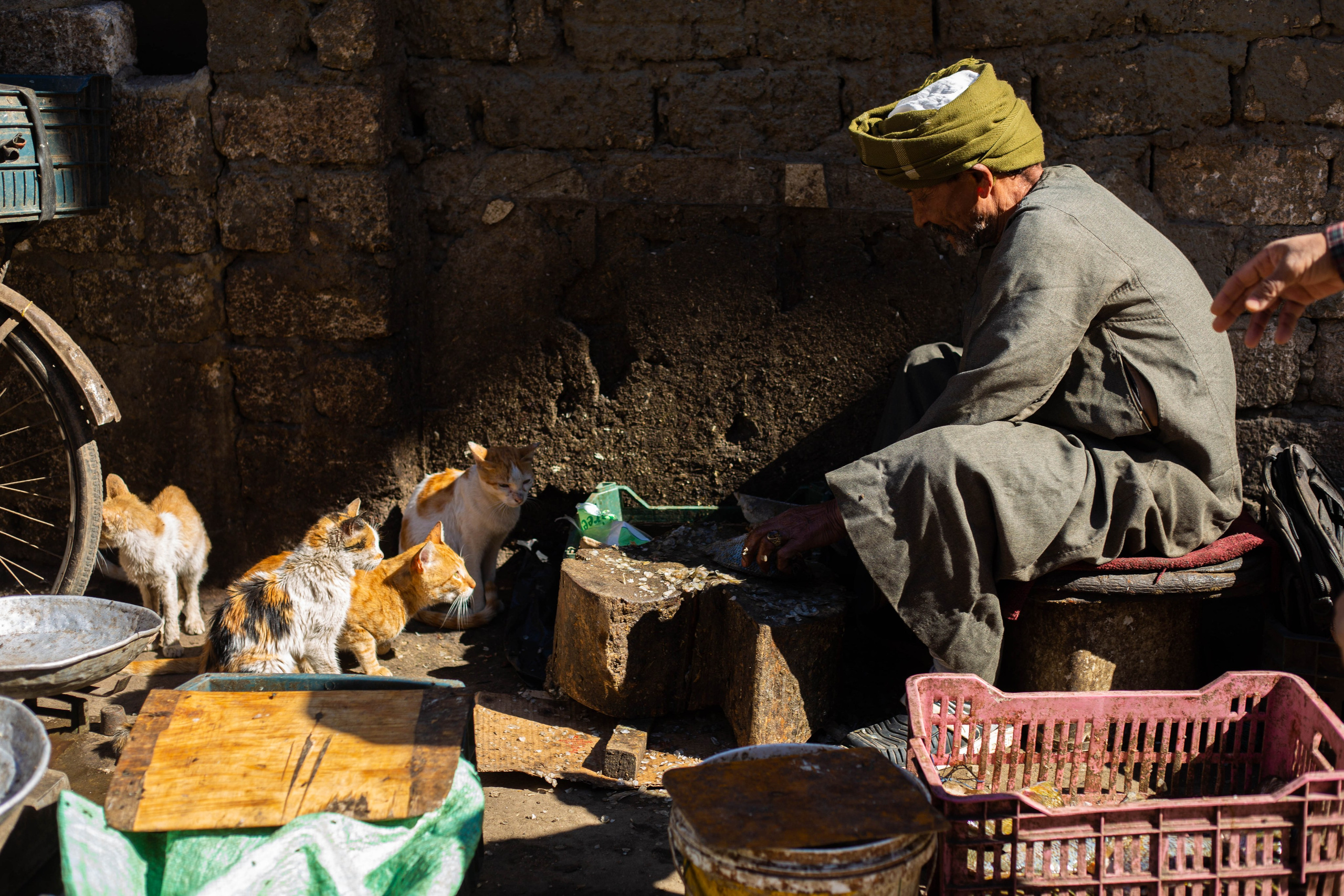 Египет. Репортажный фотограф в Москве Зуйко Оксана