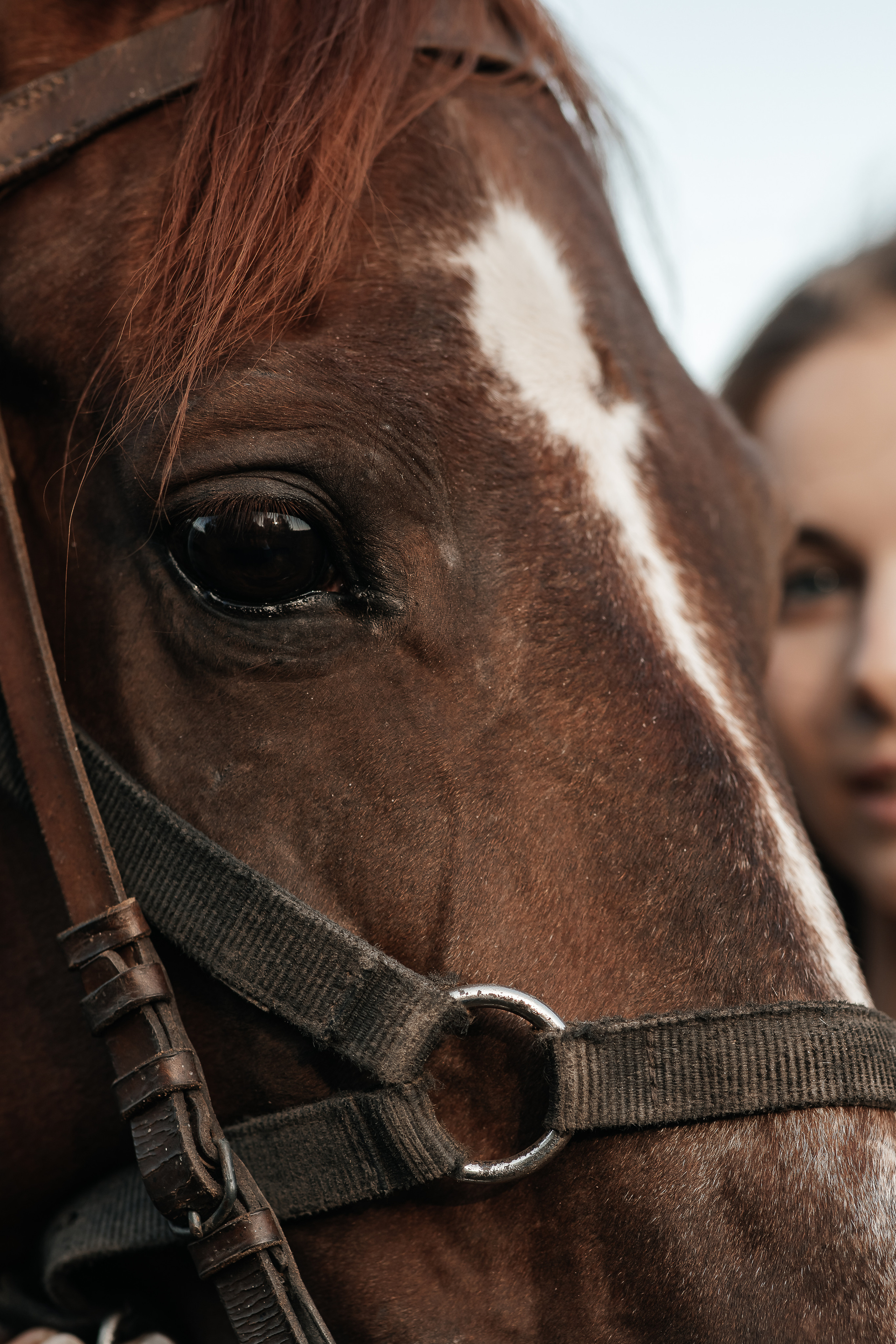 Марина. Семейный и свадебный фотограф в Томске Марилова Ольга