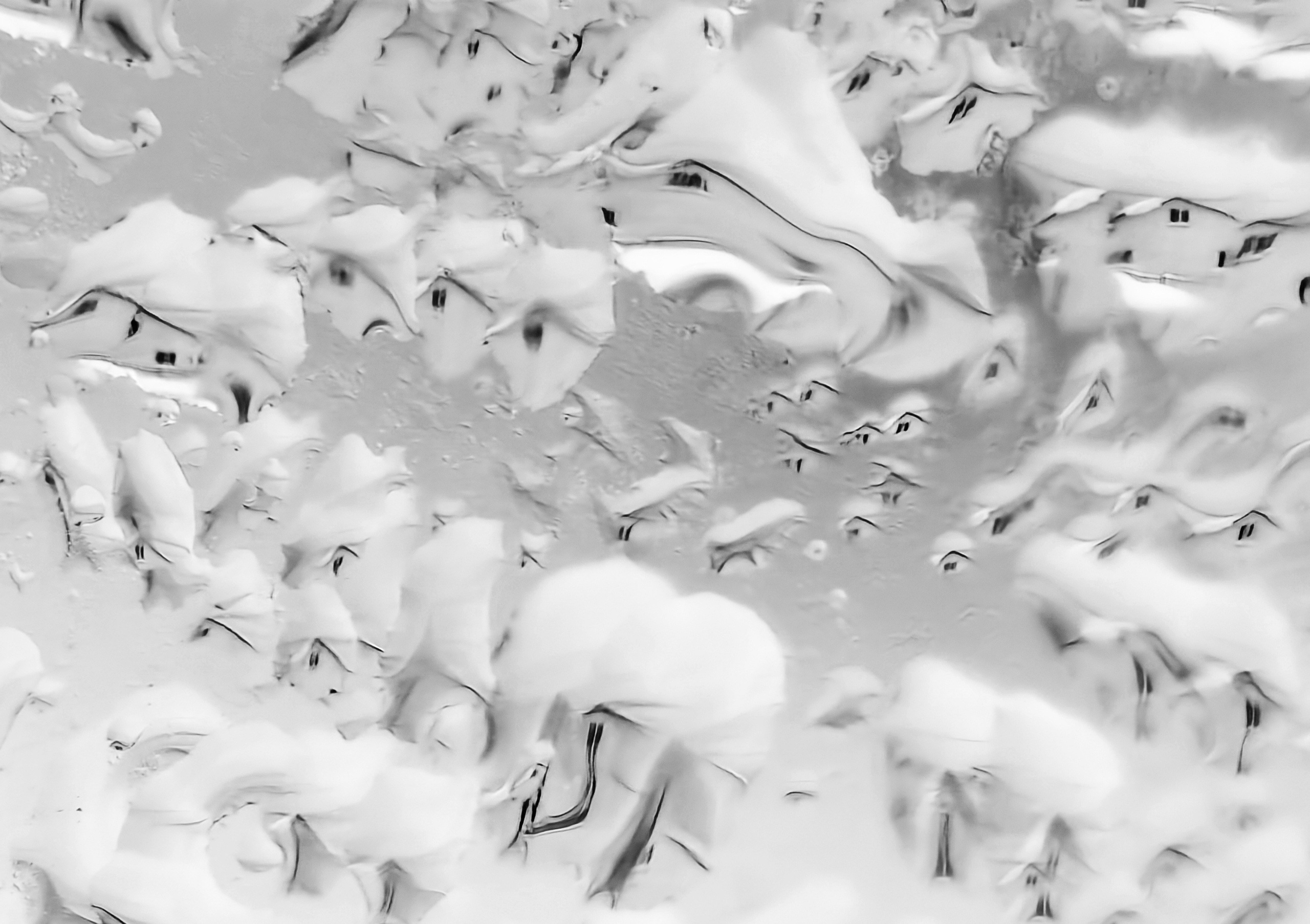 Одиночные. Фотограф Евгений Андреев